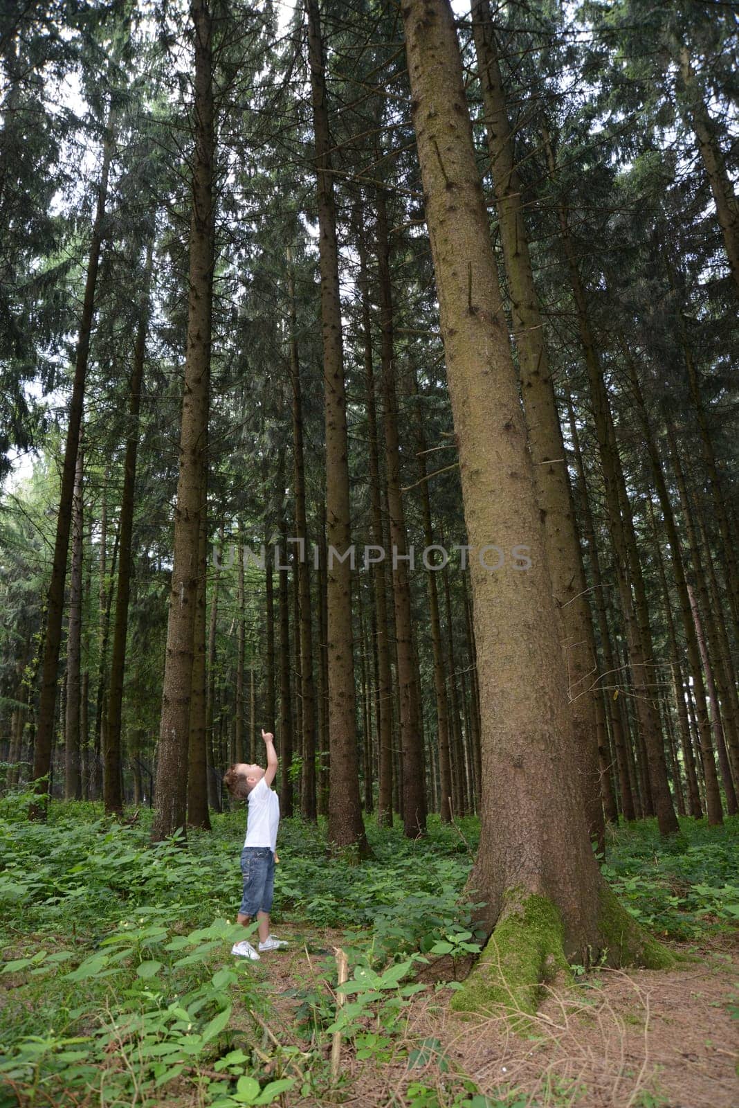 Little boy in the forest