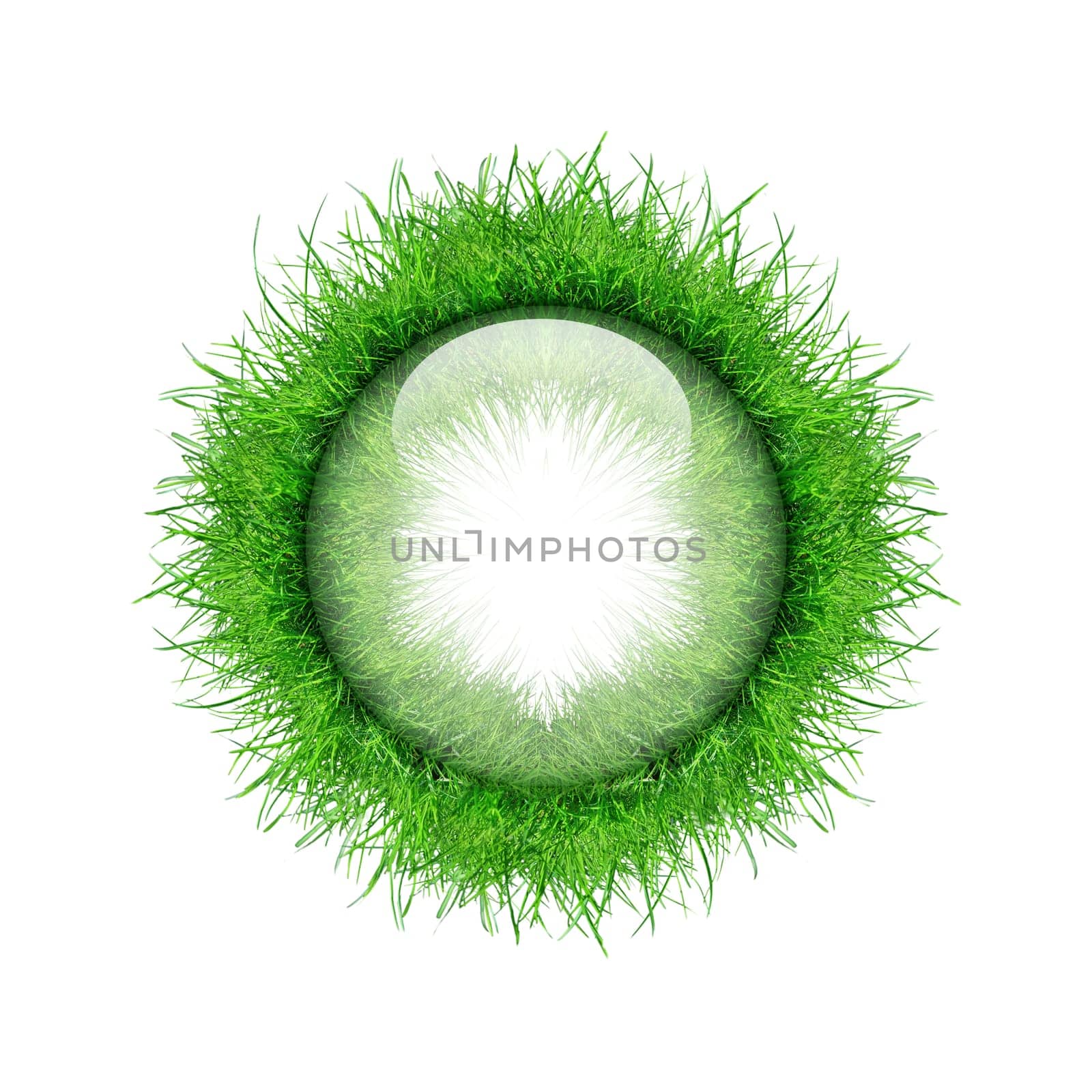Green Icon