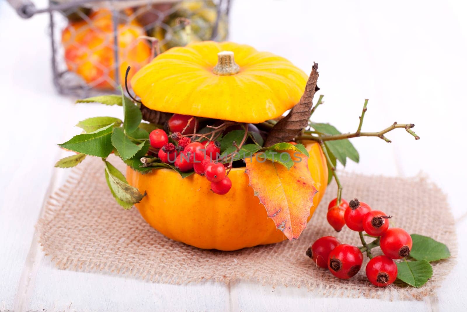 Autumnal pumpkin