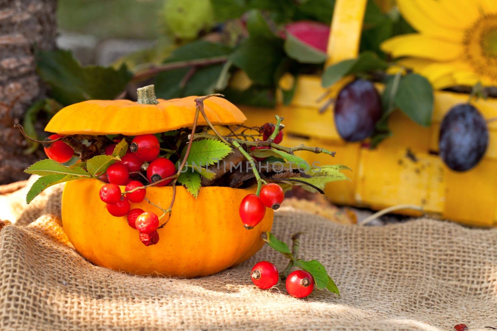 Autumn decoration