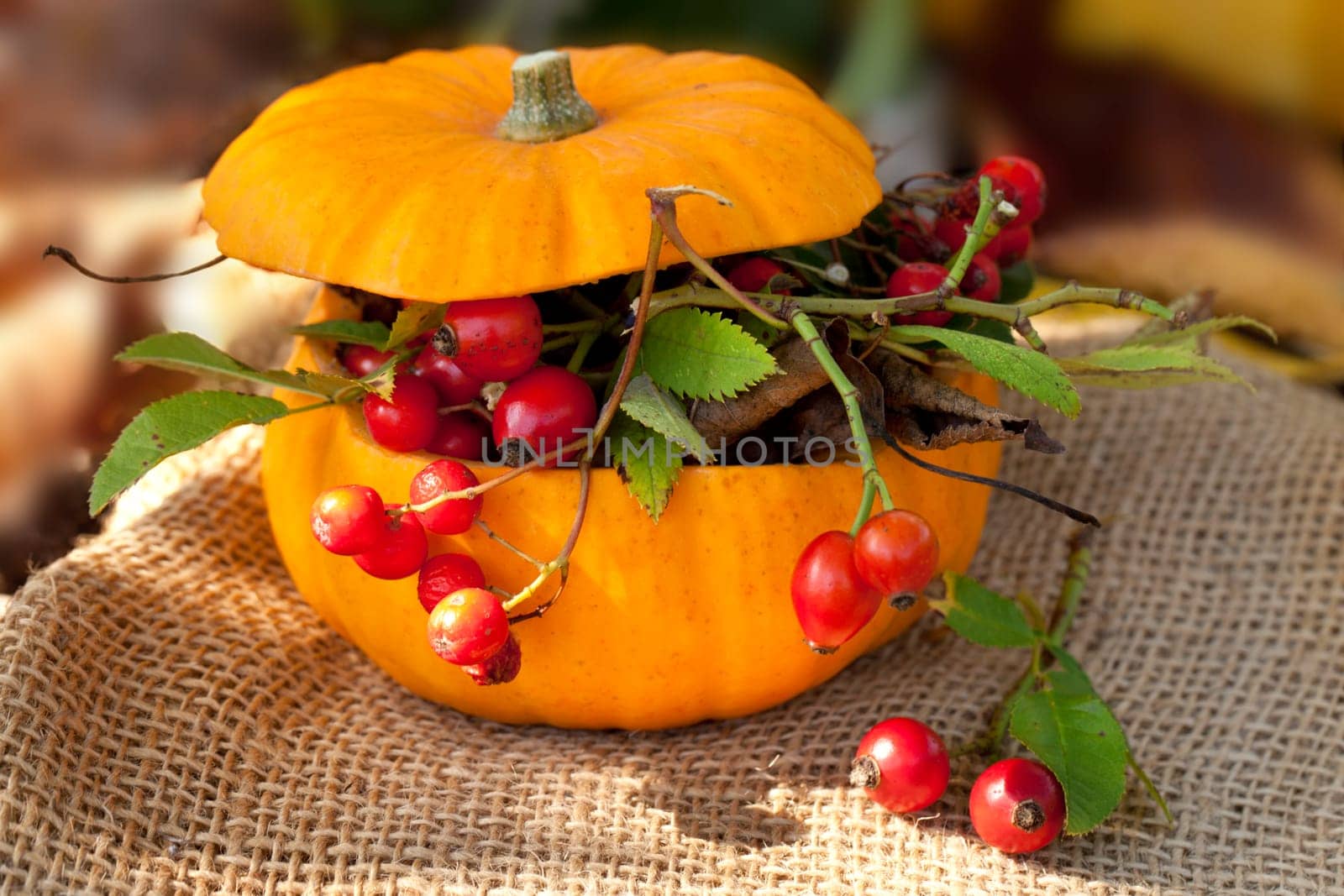 Autumn decoration