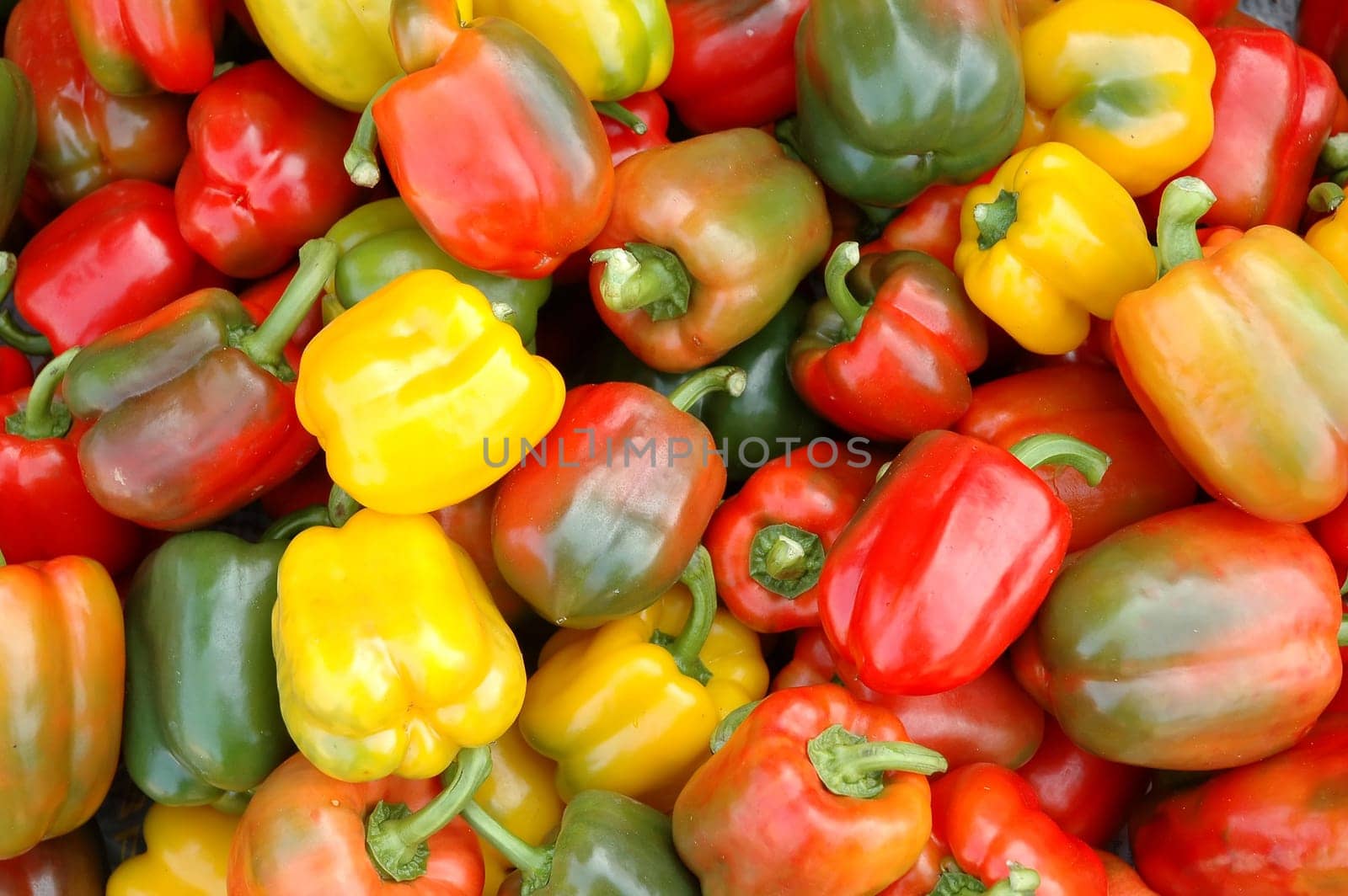 paprika