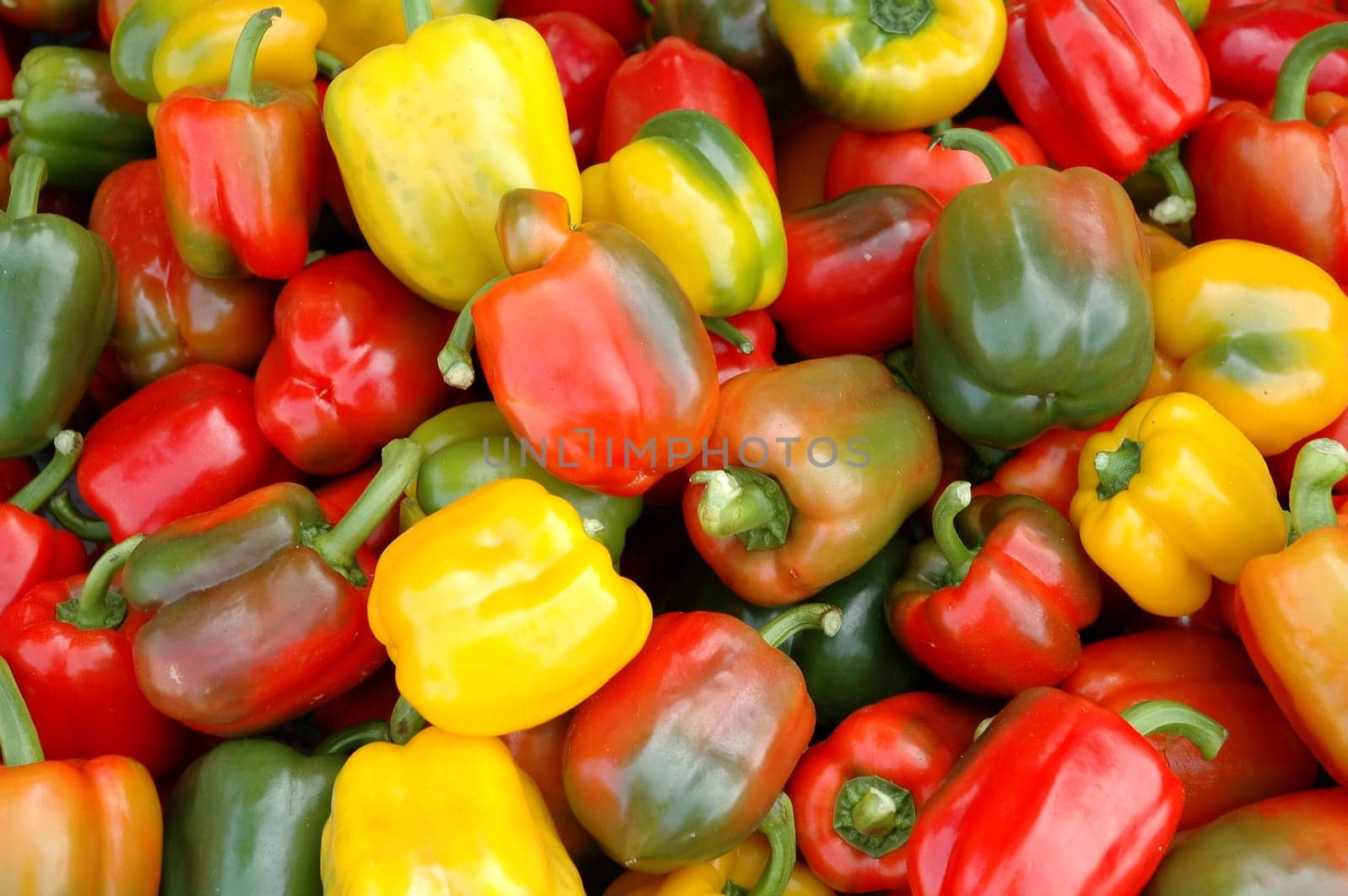 paprika