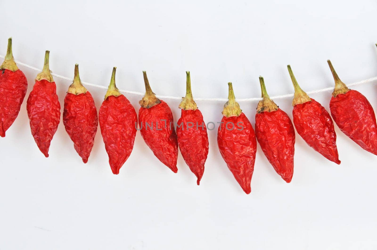 hot pepper