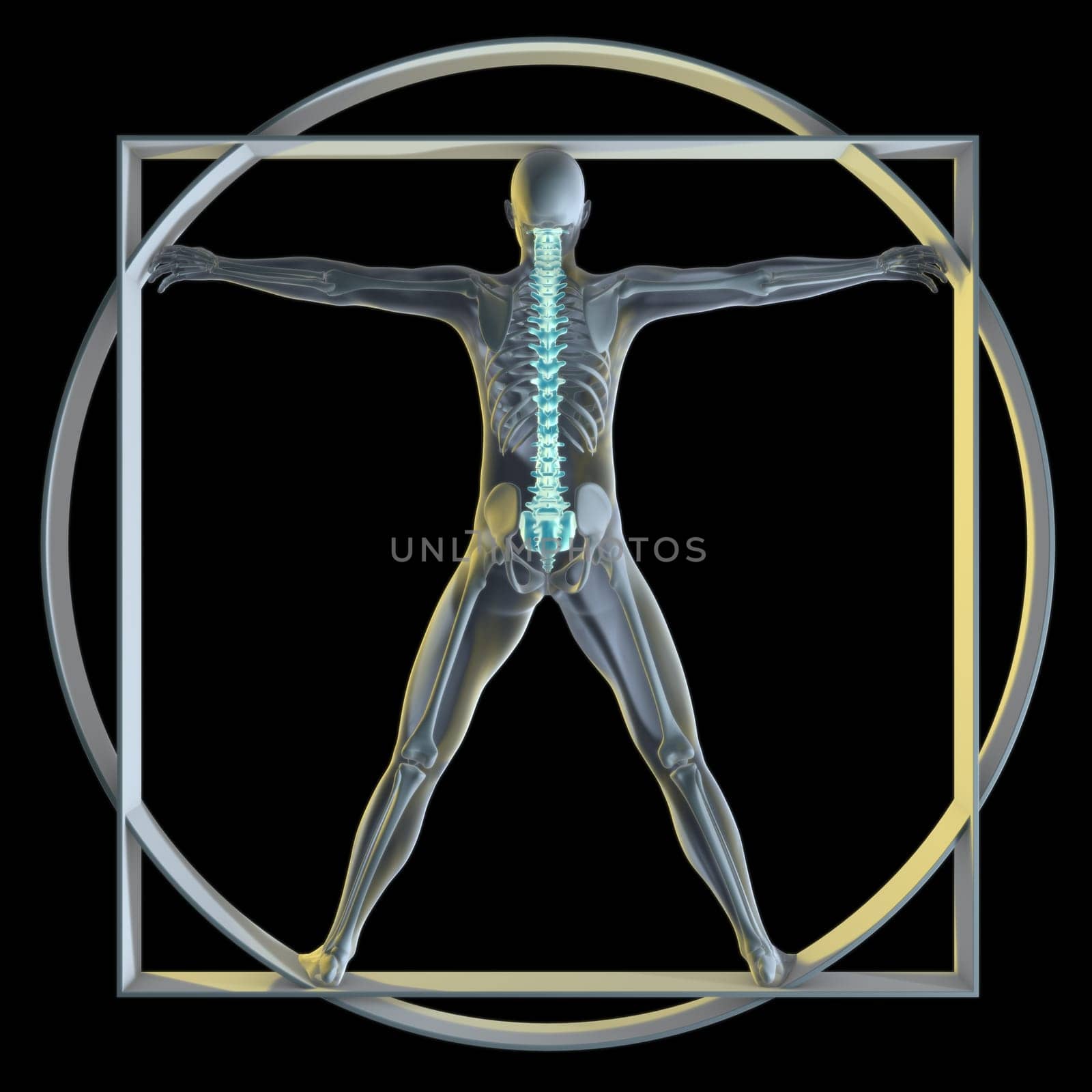 A 3d generated person posed like the famous Vitruvian Man (Symbol of health) rendered in a x-ray style highlighting the spine.