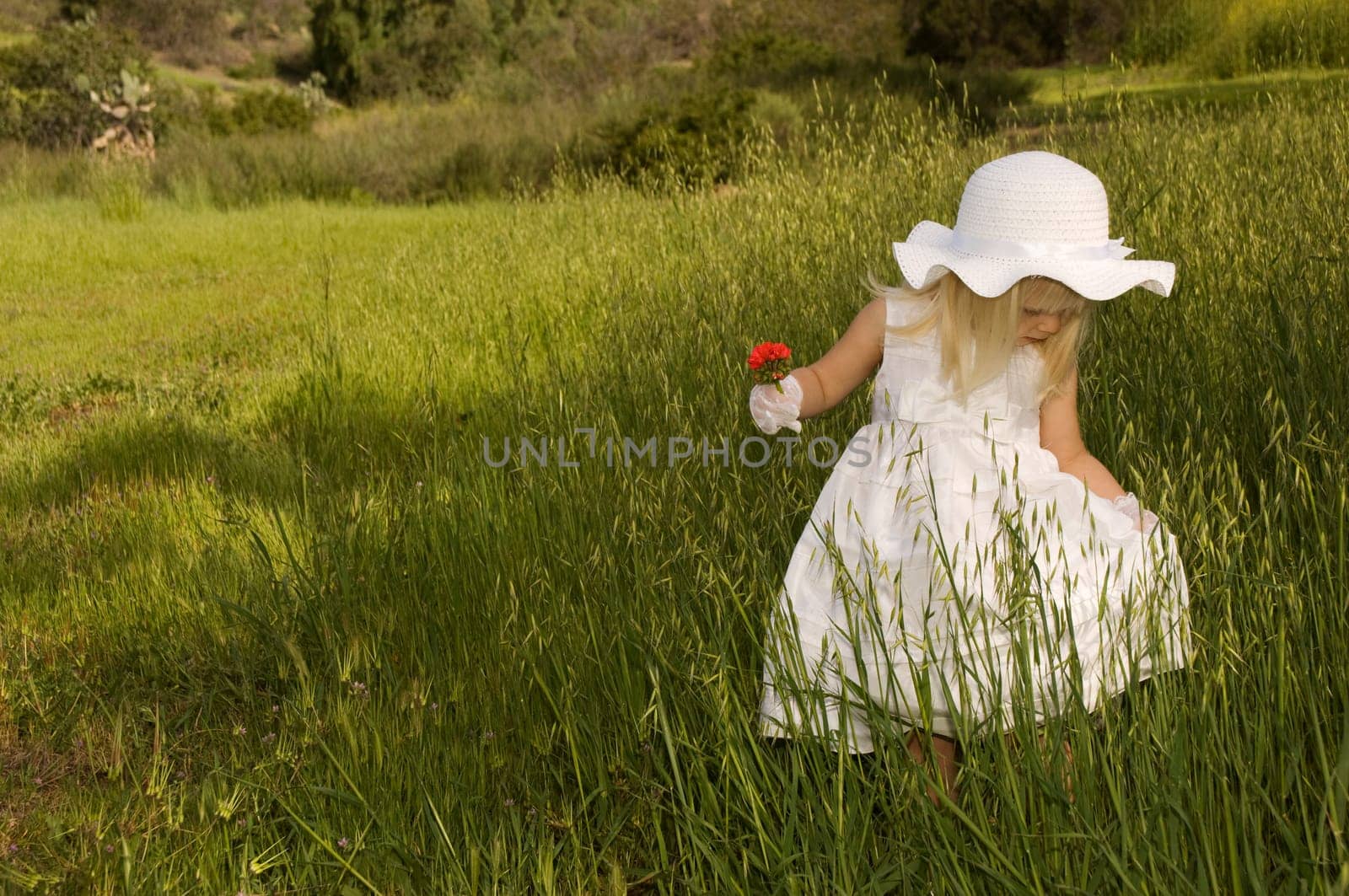 Girl in a white dress holding a flower in a field of grass