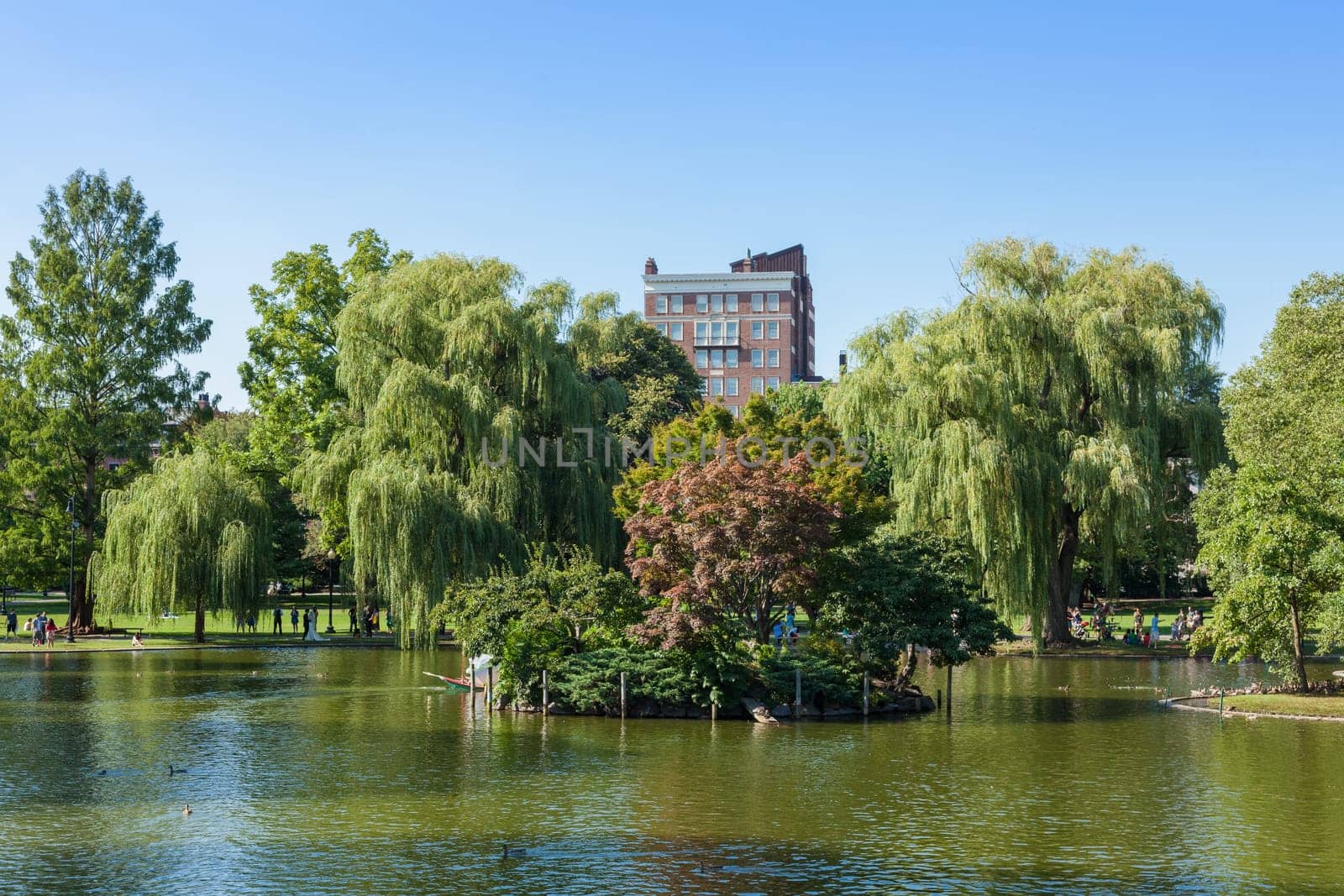 View of the Common park lake in Boston, Massachusetts -USA