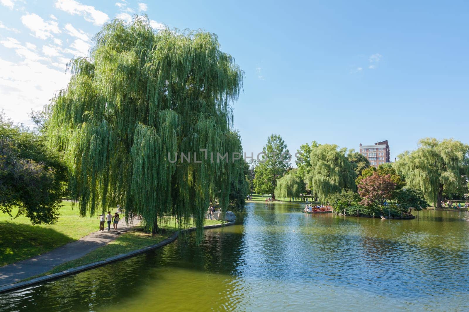 View of the Common park lake in Boston, Massachusetts -USA