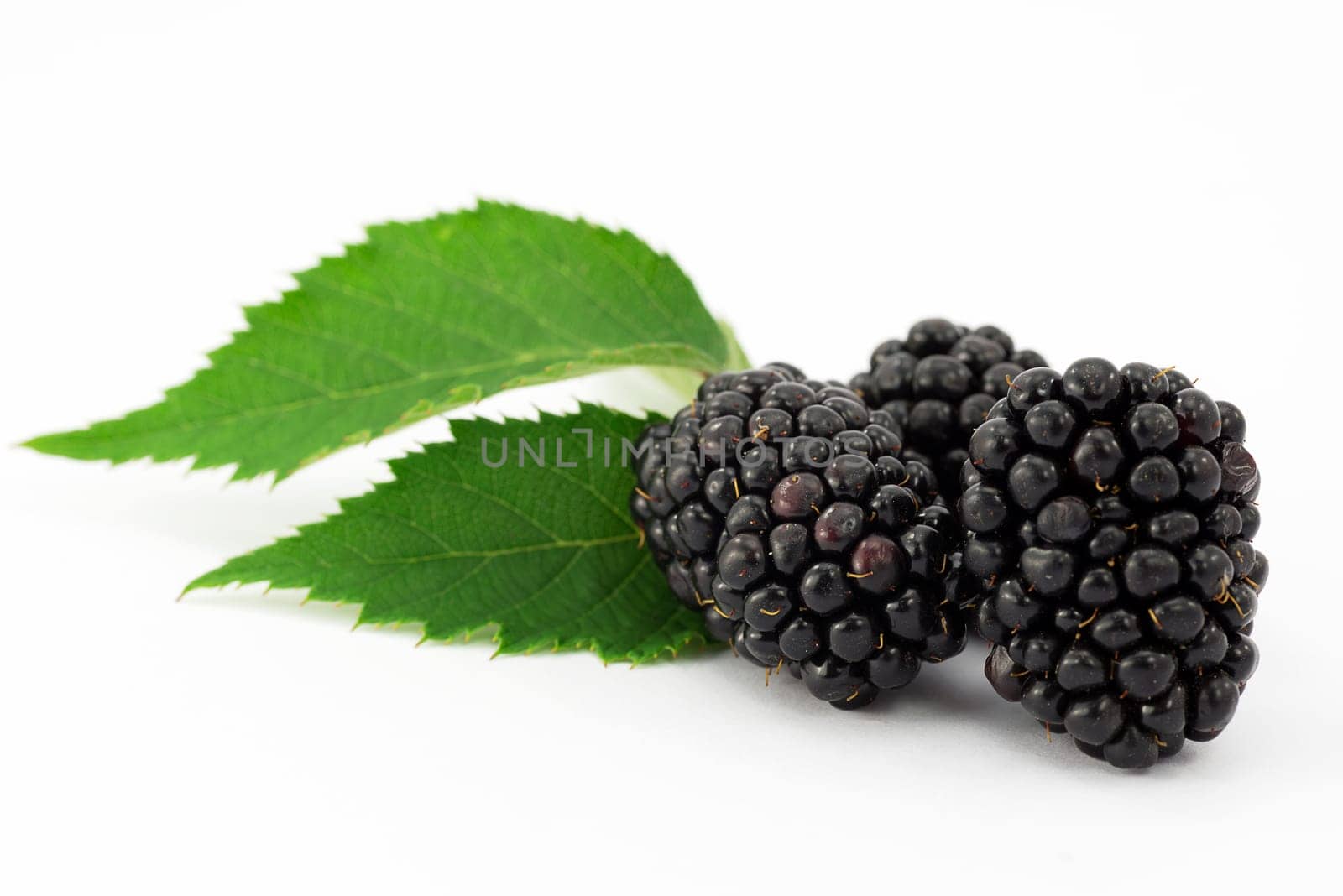 fruit