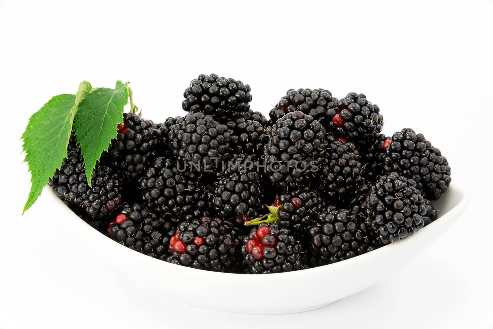 fruit