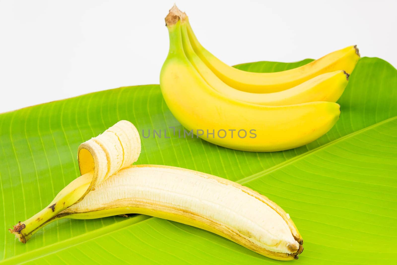 fruit