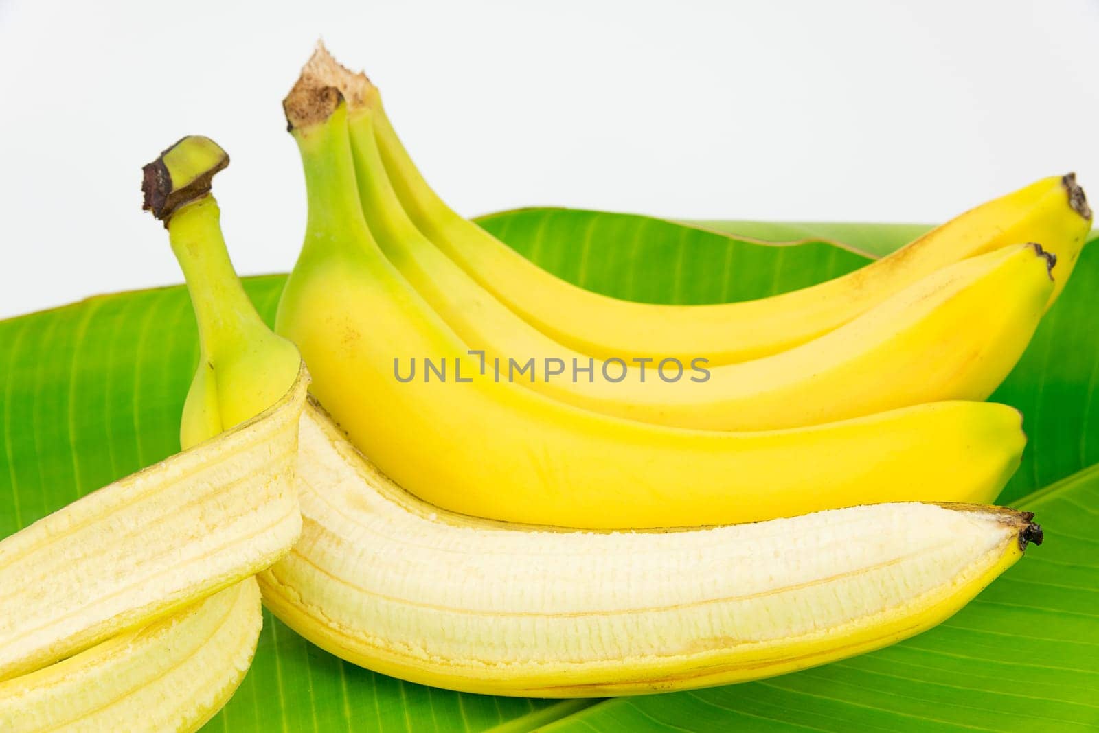 fruit