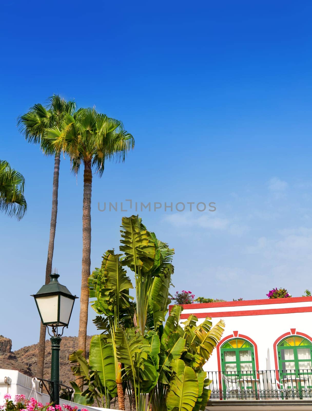 Gran canaria Puerto de Mogan white houses colonial in canary Islands