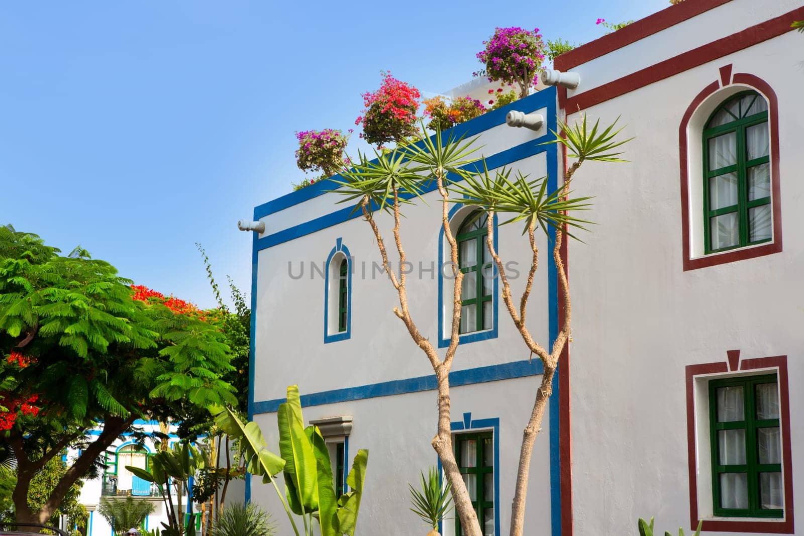 Gran canaria Puerto de Mogan white houses colonial in canary Islands
