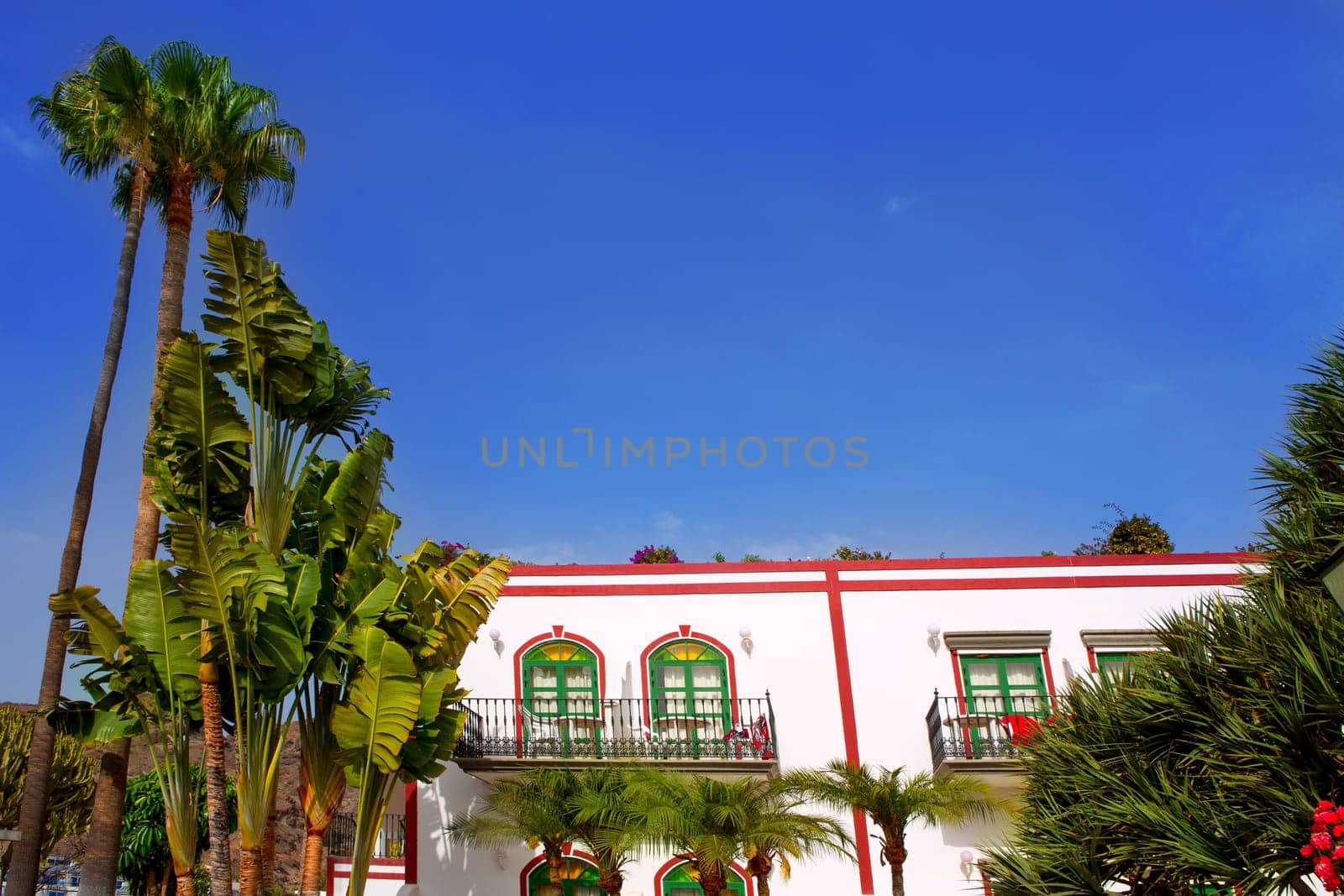 Gran canaria Puerto de Mogan white houses colonial in canary Islands