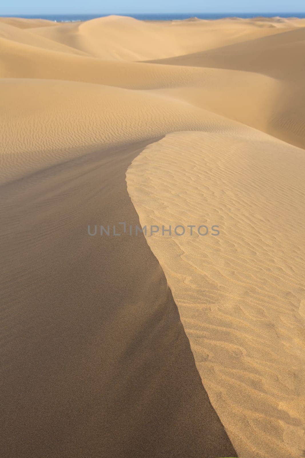 Desert sand dunes in Maspalomas Gran Canaria at Canary islands