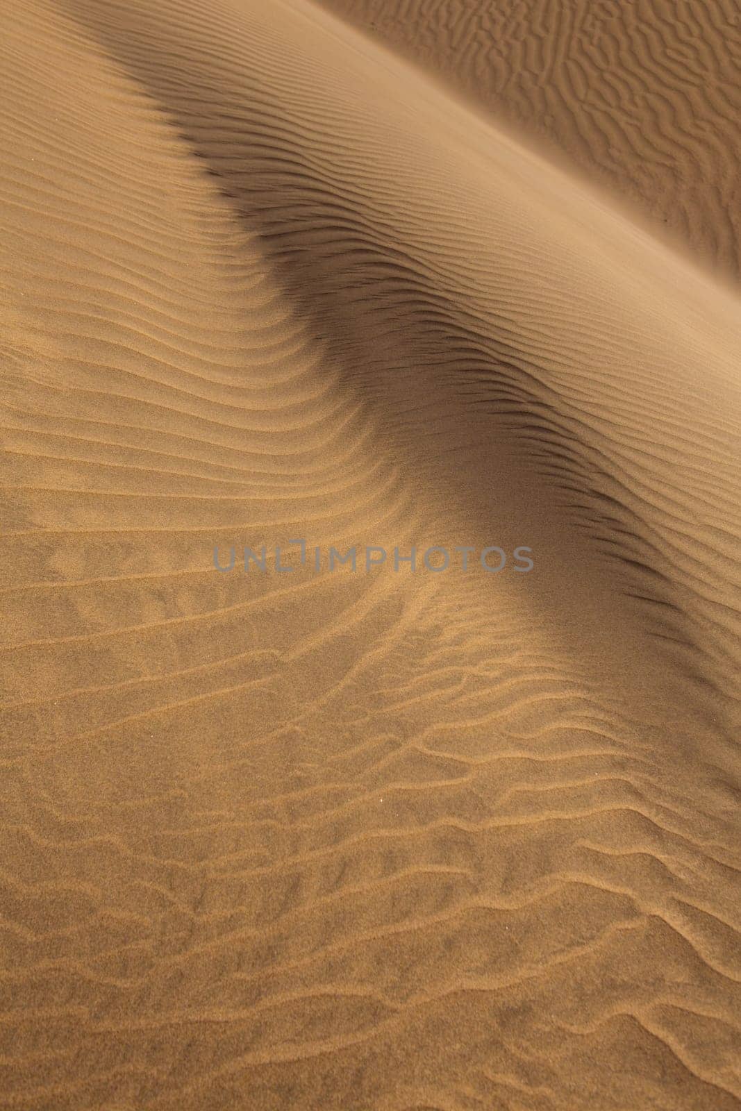 Desert sand dunes texture in Maspalomas Gran Canaria at Canary islands