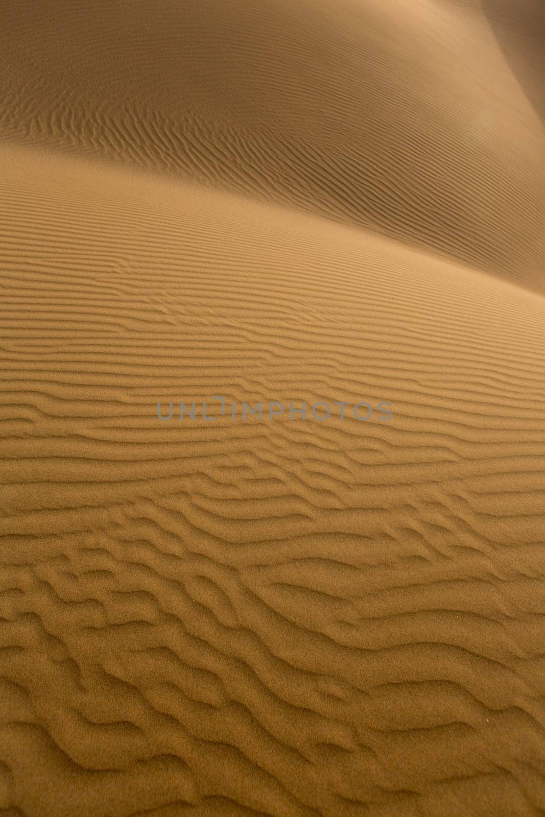 Desert sand dunes texture in Maspalomas Gran Canaria at Canary islands