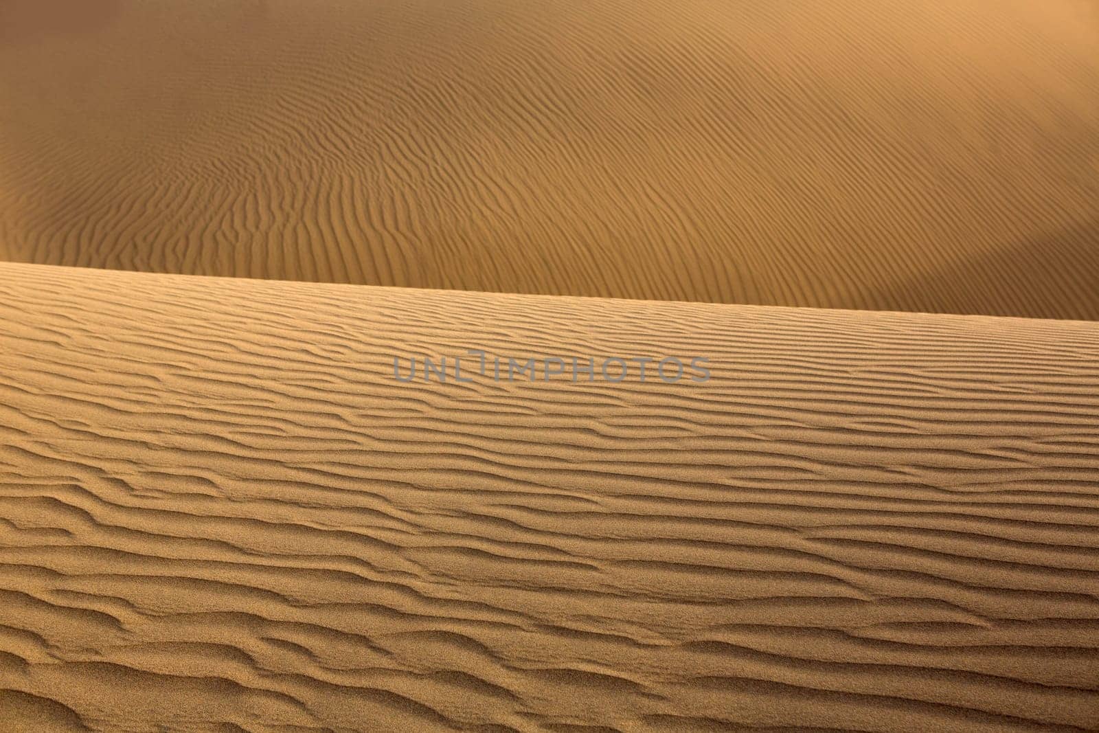 Desert sand dunes texture in Maspalomas Gran Canaria at Canary islands