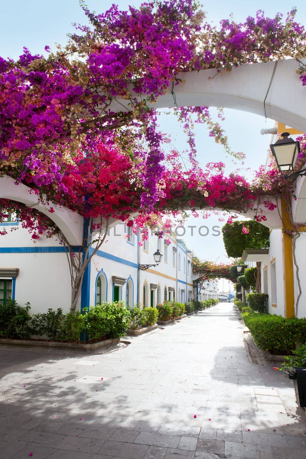 Gran canaria Puerto de Mogan white houses colonial in canary Islands