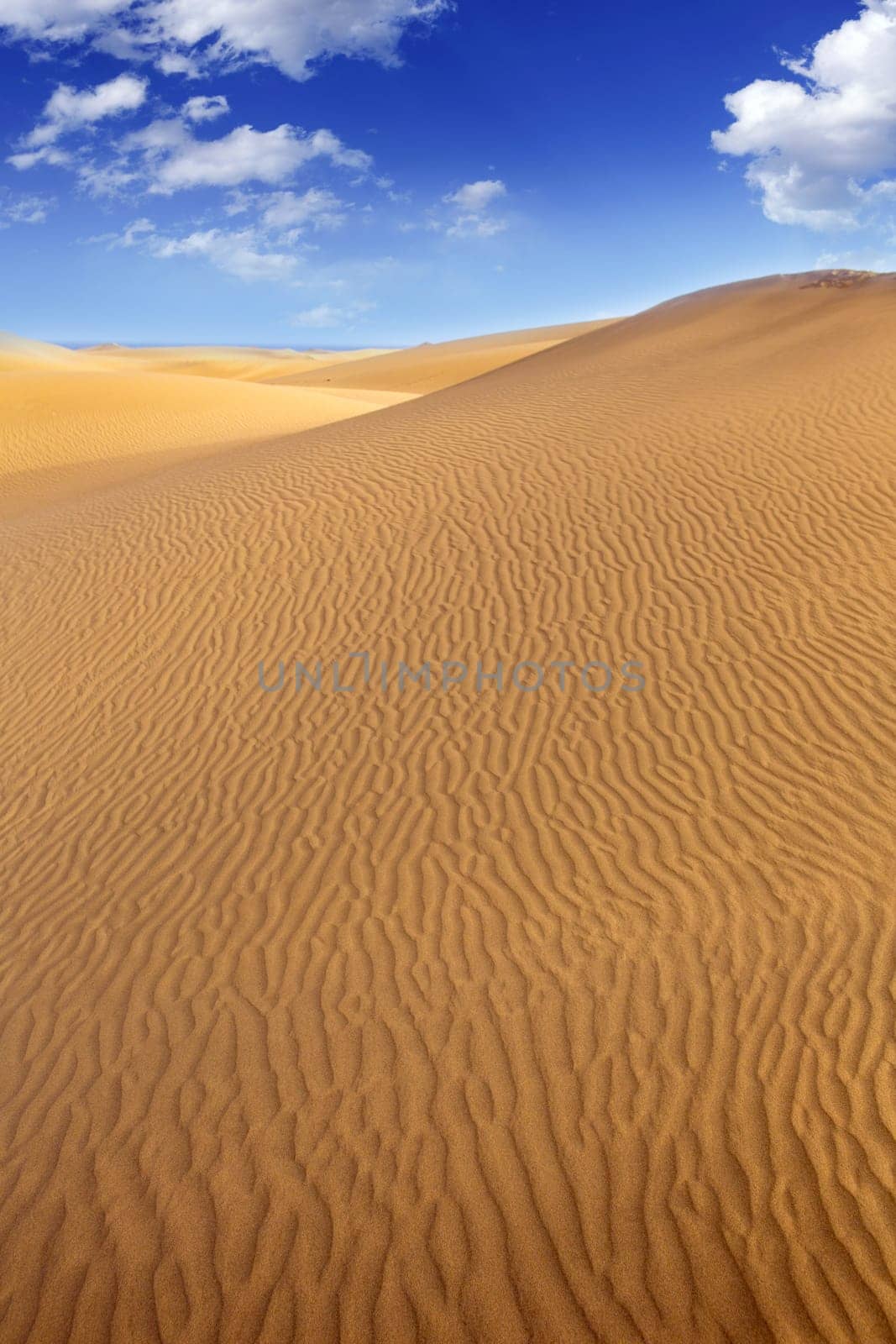 Desert sand dunes in Maspalomas Oasis Gran Canaria at Canary islands