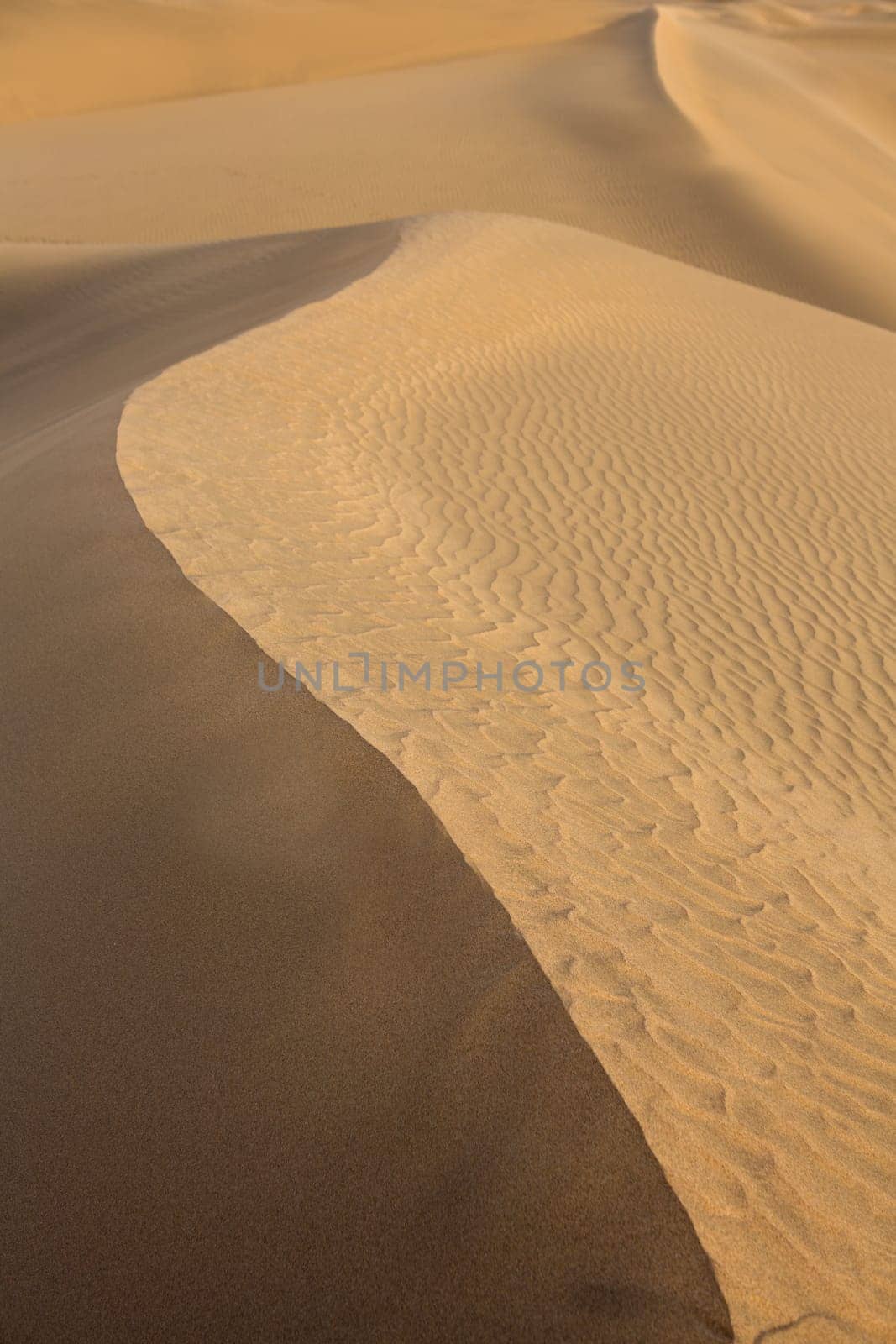 Desert sand dunes in Maspalomas Oasis Gran Canaria at Canary islands