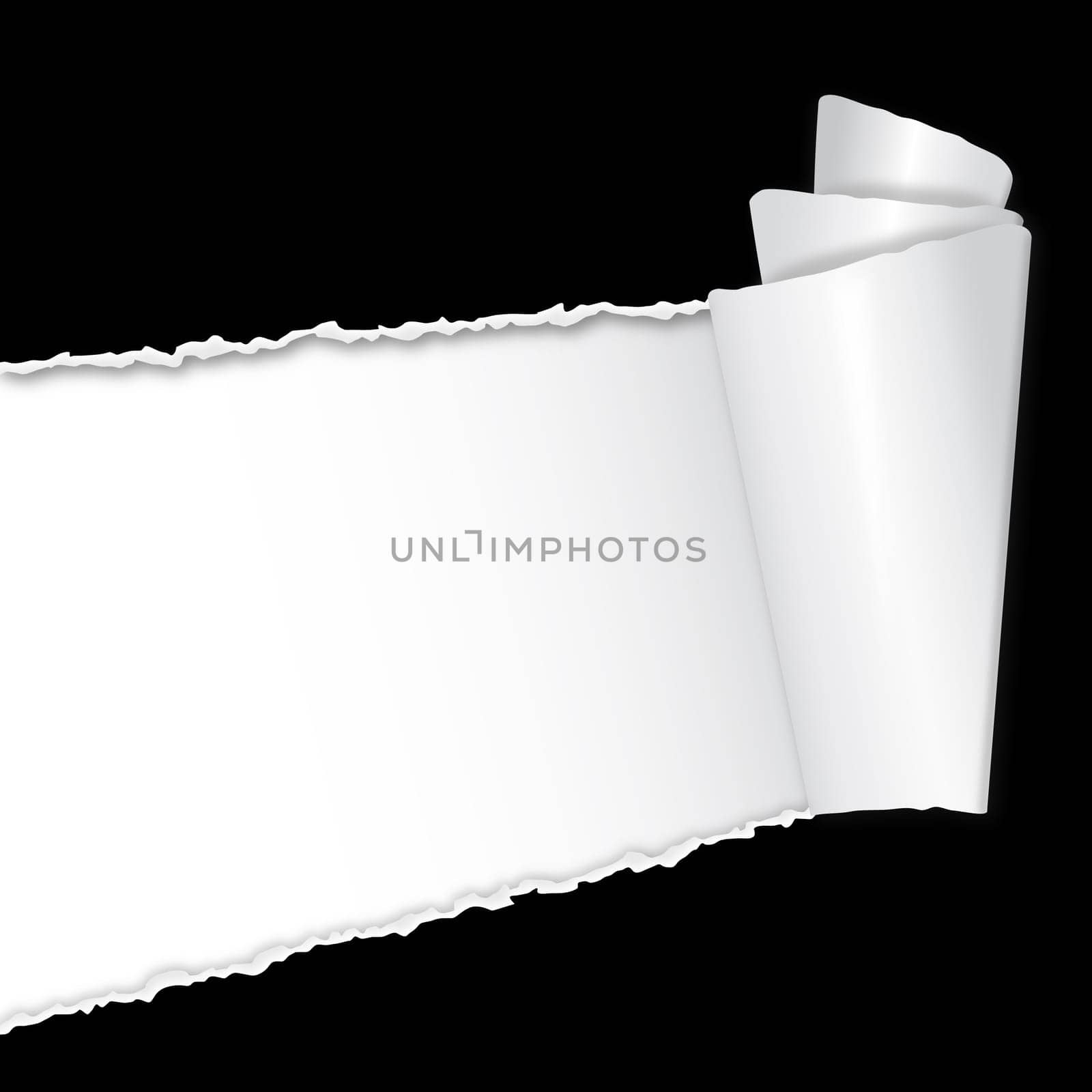Torn paper with copy space