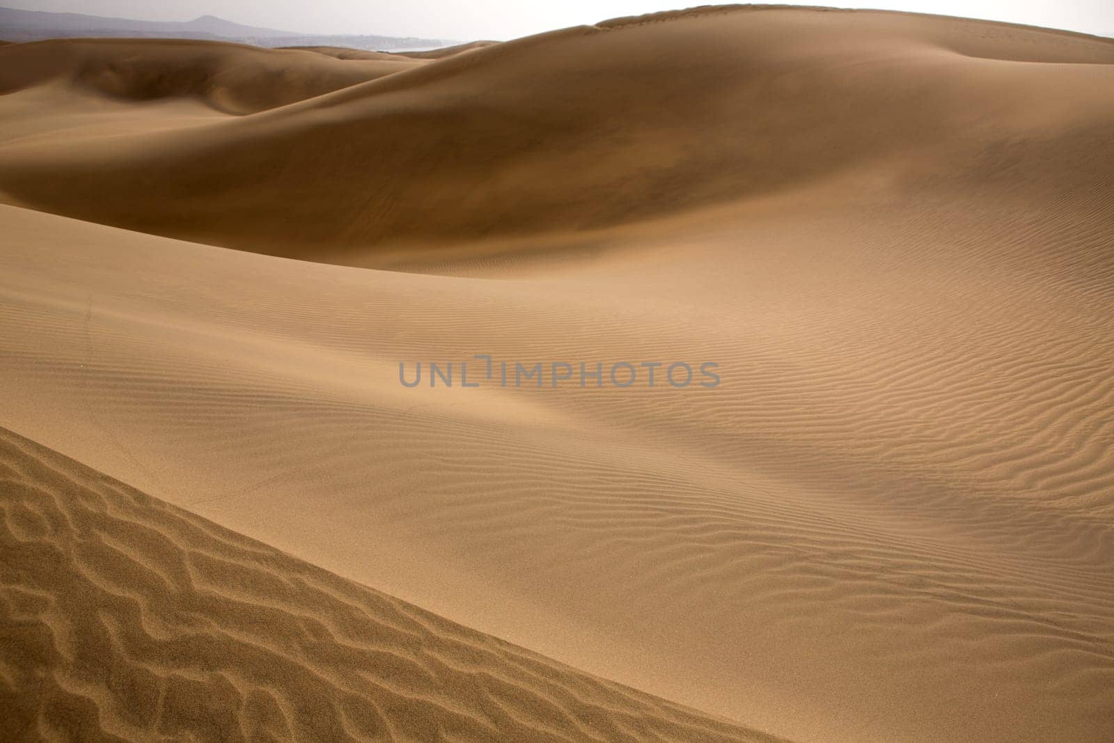 Desert dunes sand in Maspalomas Oasis Gran Canaria at Canary islands