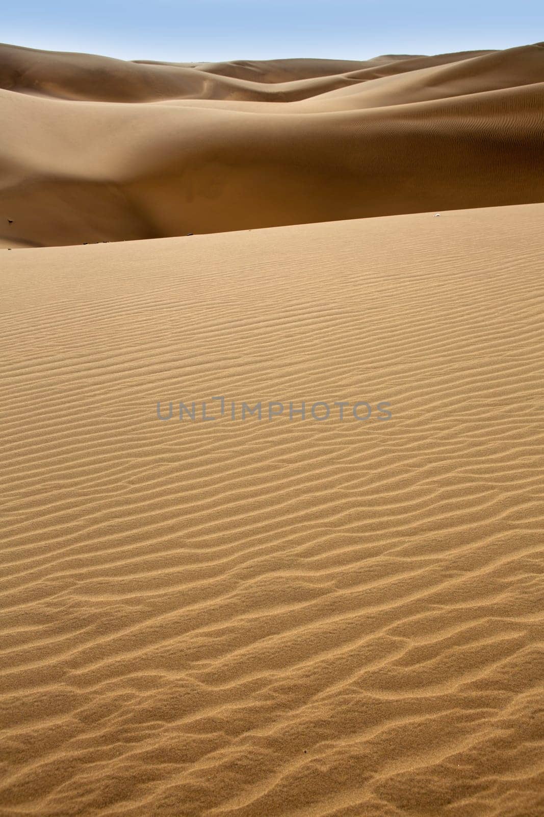 Desert dunes sand in Maspalomas Gran Canaria at Canary islands