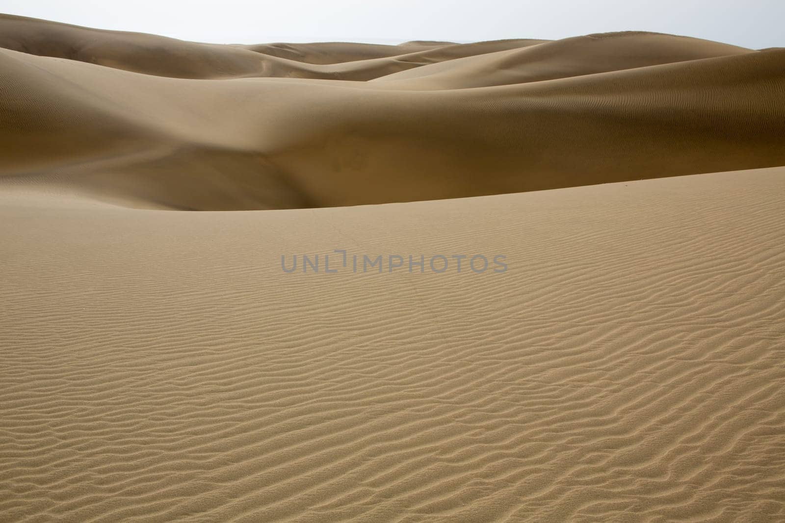 Desert dunes sand in Maspalomas Gran Canaria at Canary islands