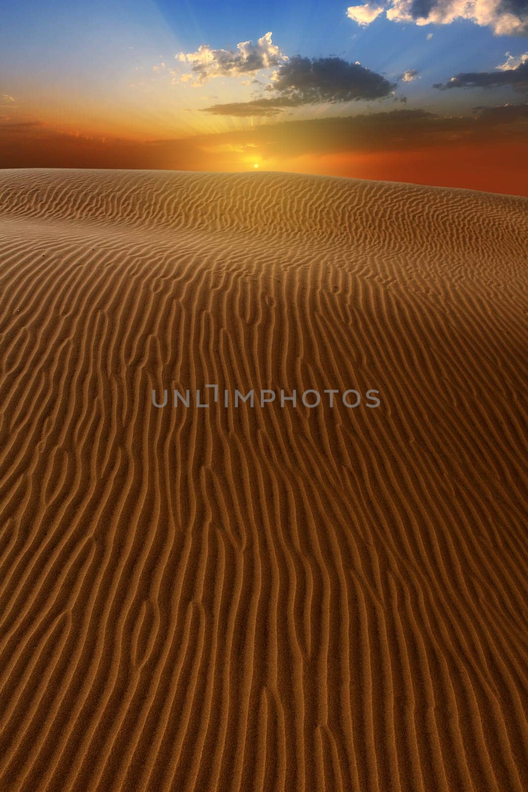 Desert dunes dramatic sunset in Maspalomas Oasis Gran Canaria at Canary islands