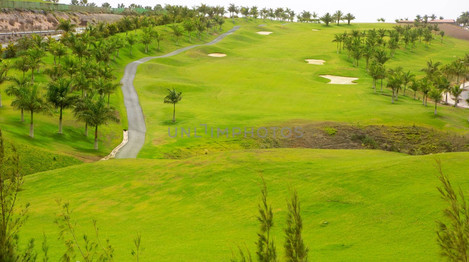 Gran Canaria Meloneras golf green grass and palm trees in Canary Islands