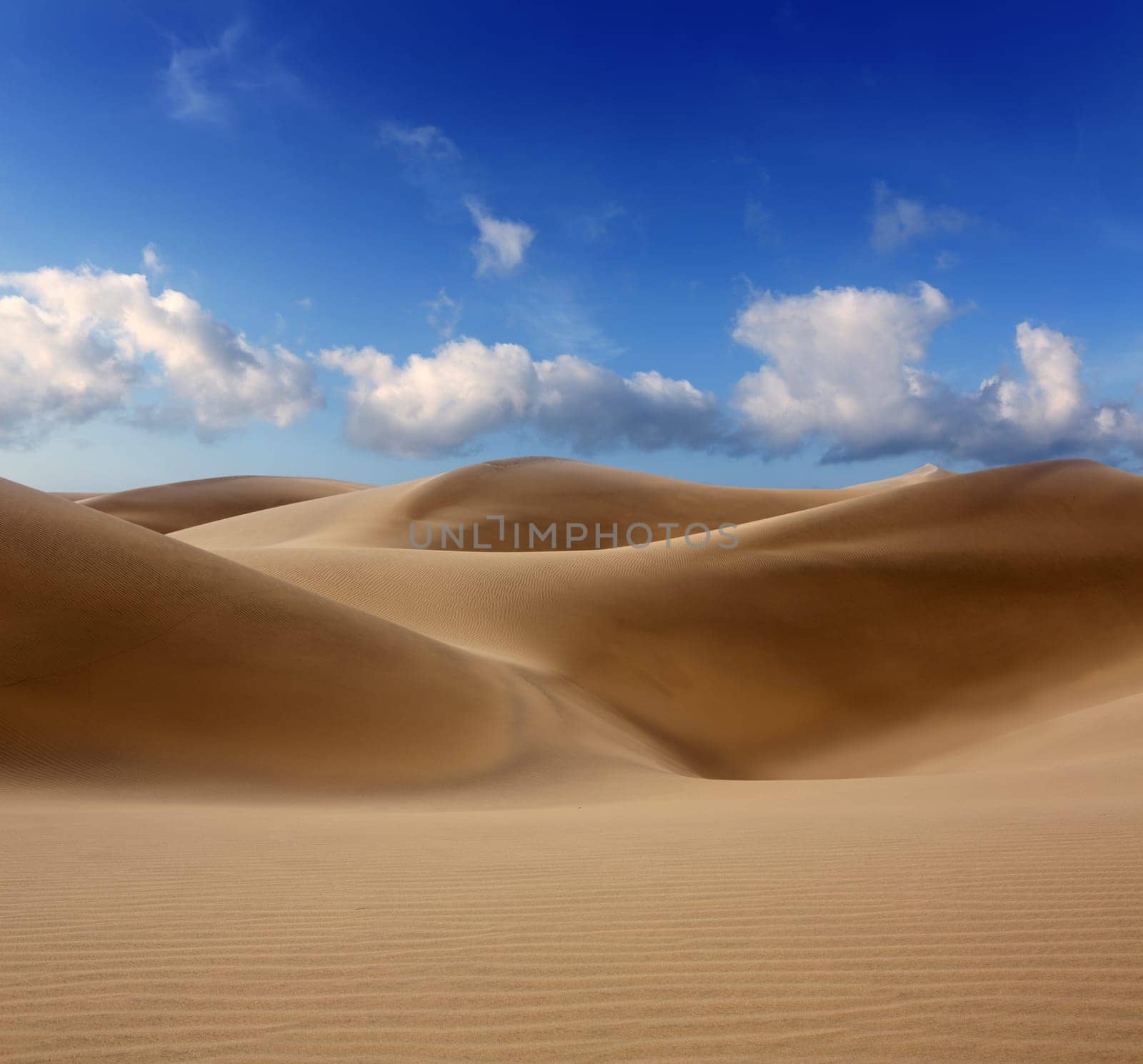 Desert dunes sand in Maspalomas Oasis Gran Canaria at Canary islands