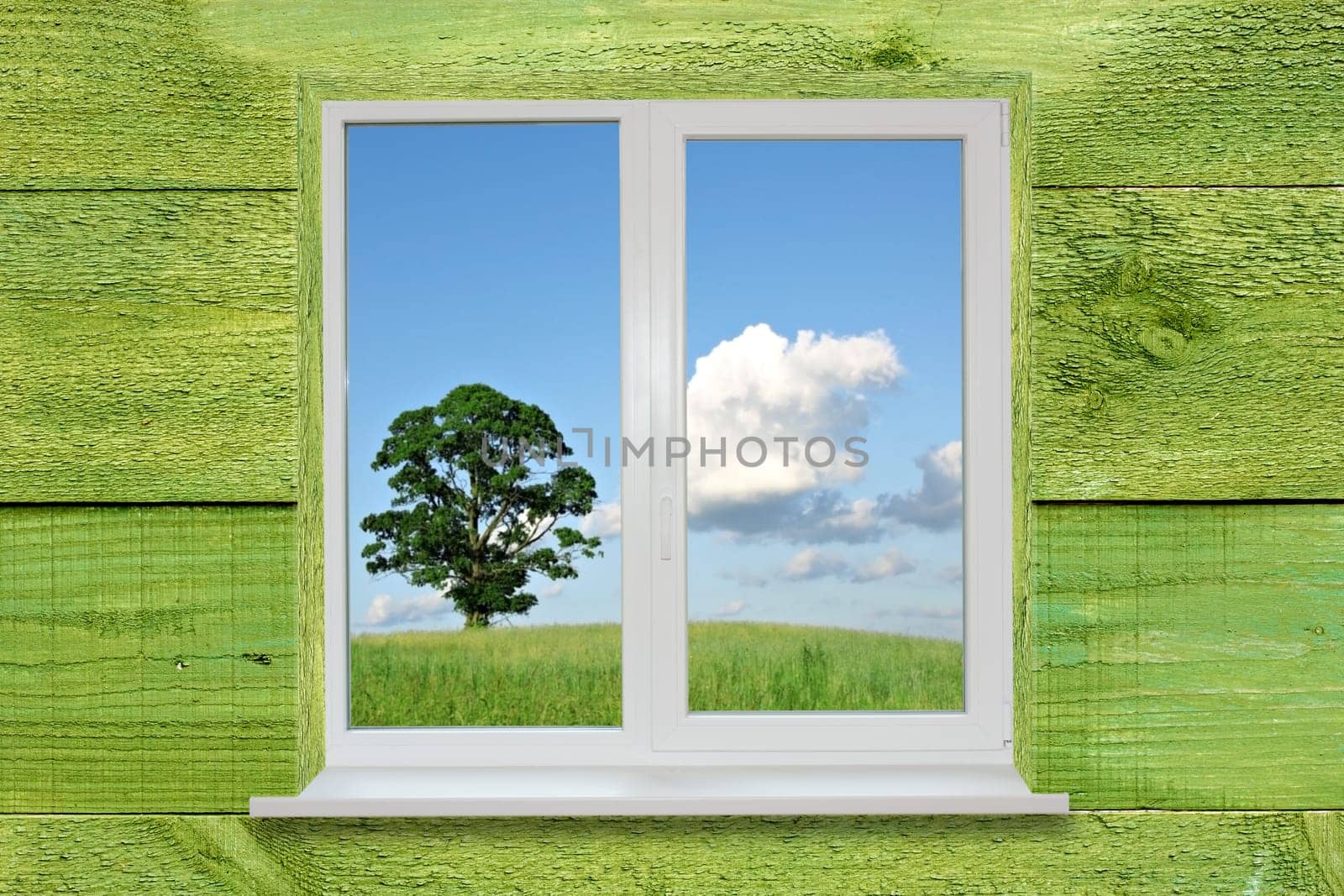 Landscape in the window on green wooden wall