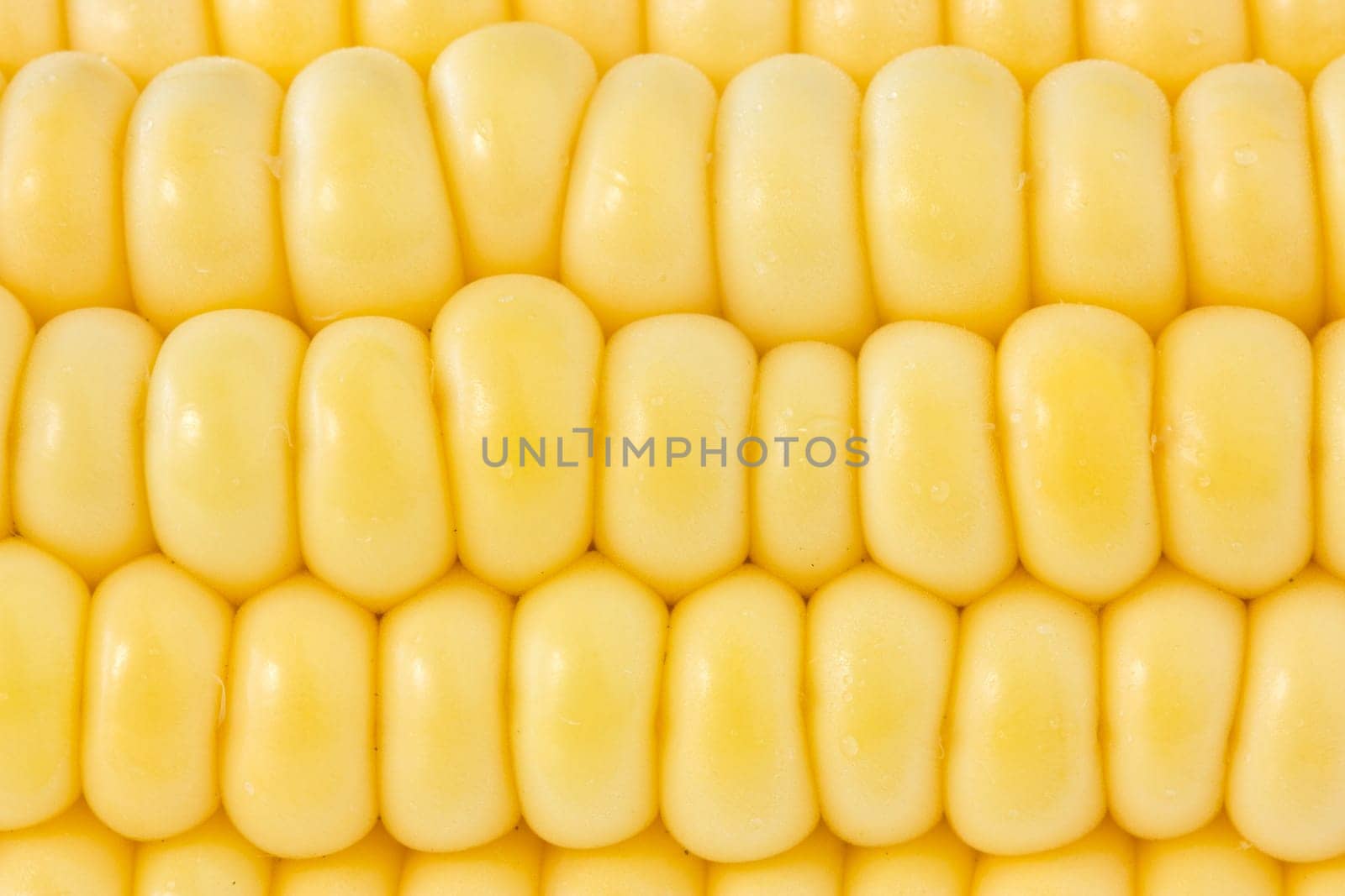 close up background of yellow sweet corn