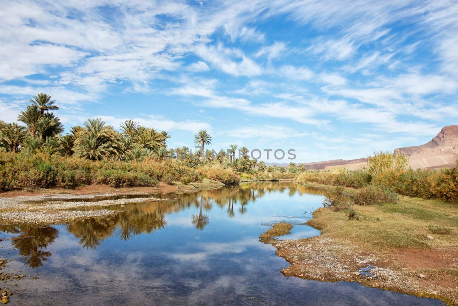 Oasis with date palms at the Draa River with cloudy blue sky reflected in the water, Draa Valley, Morocco.