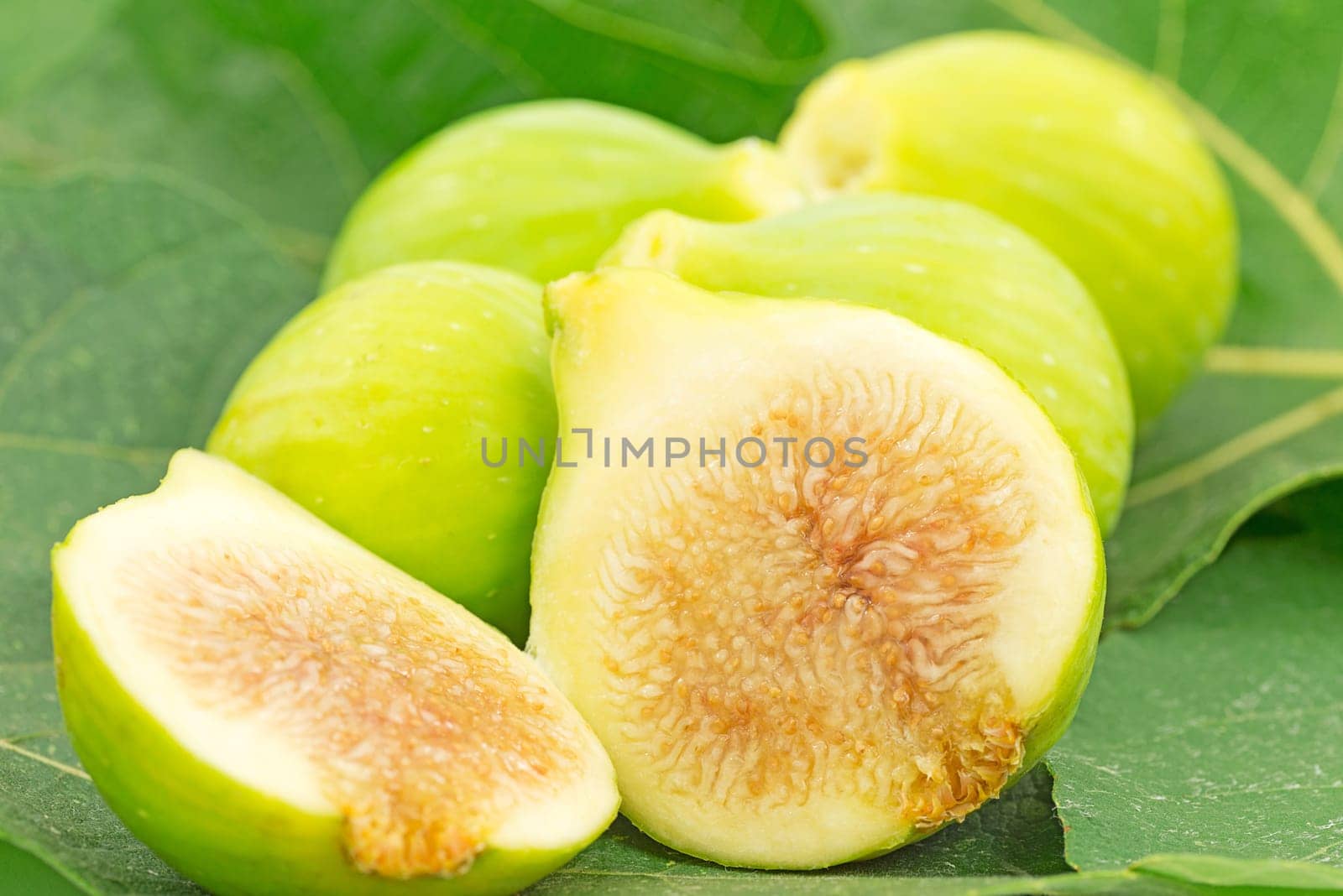 fruit