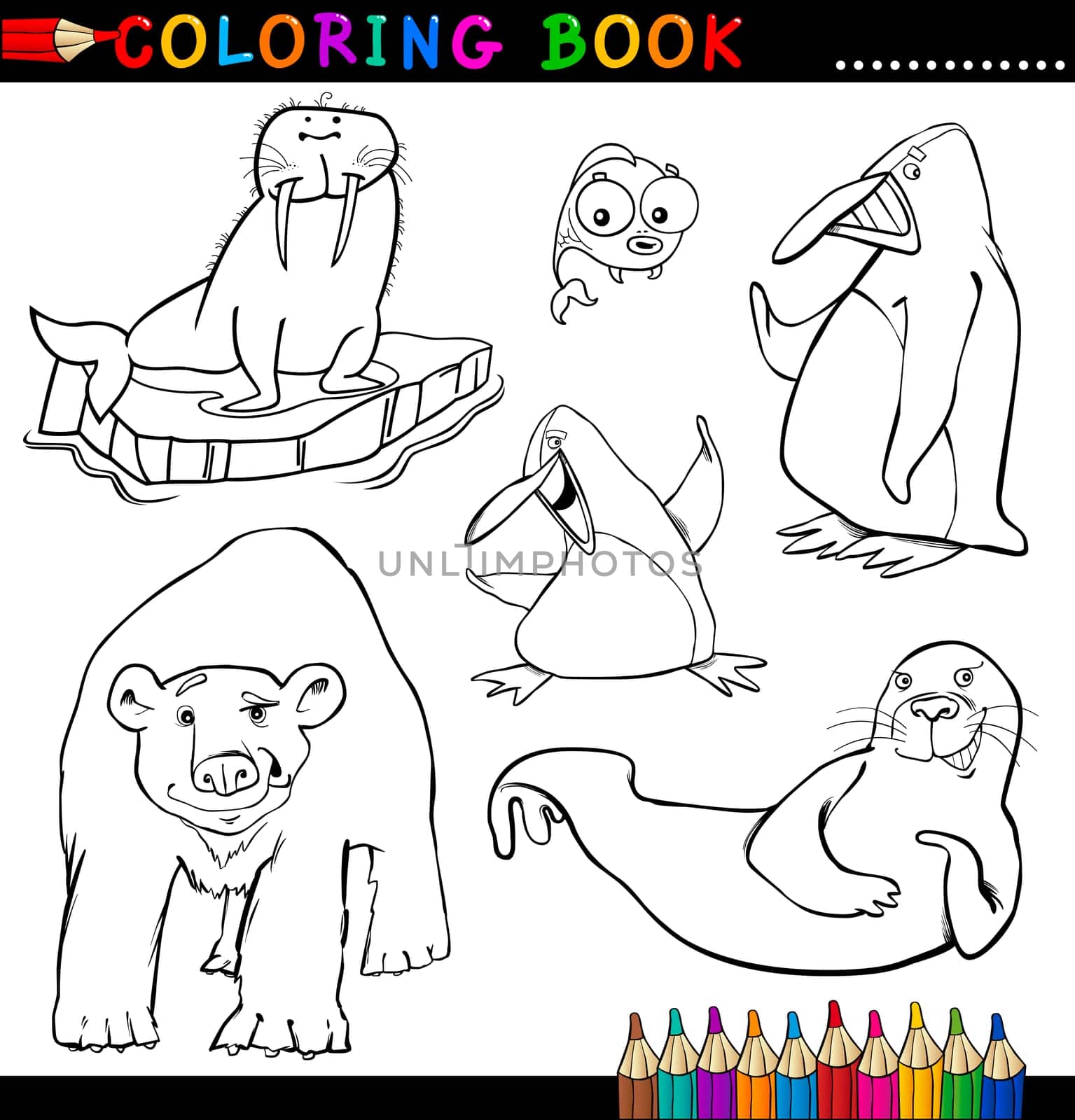 Coloring Book or Page Cartoon Illustration of Funny Marine and Polar Animals for Children