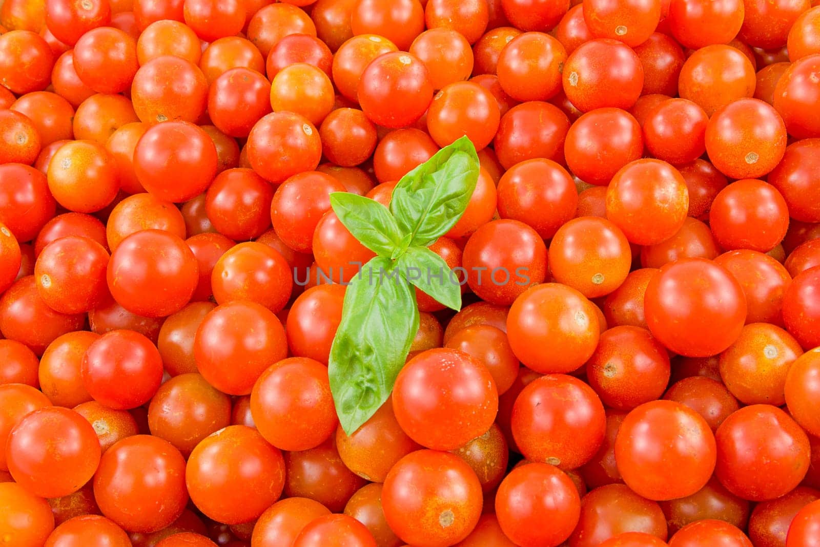 cherry tomatoes