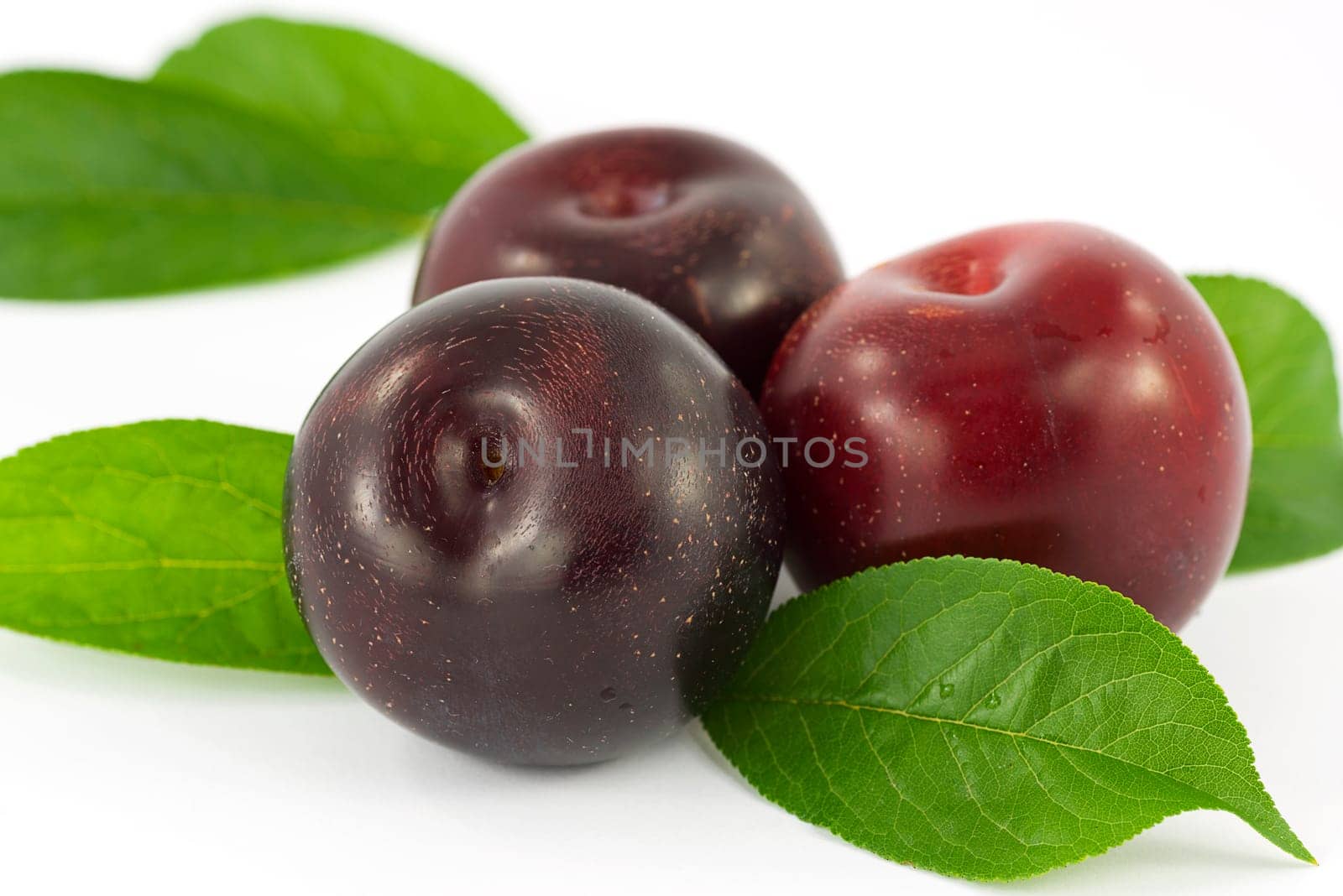 fruits