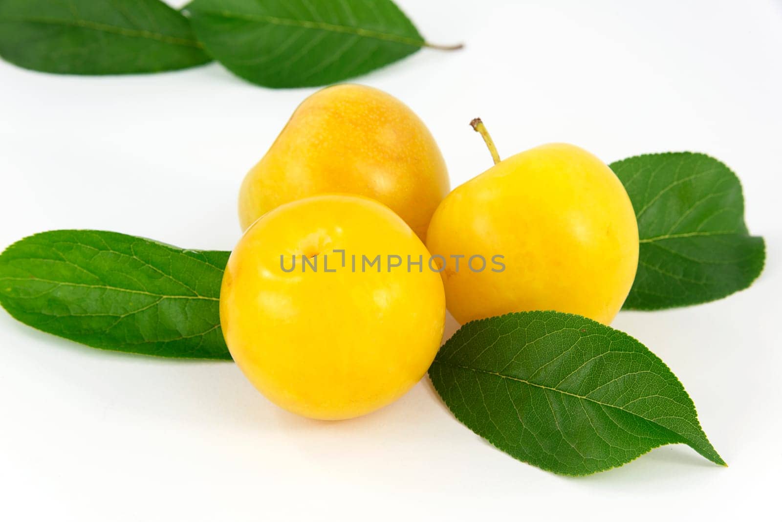 fruits