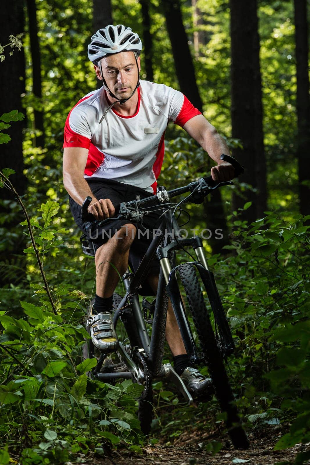 Mountain bikers in downhill