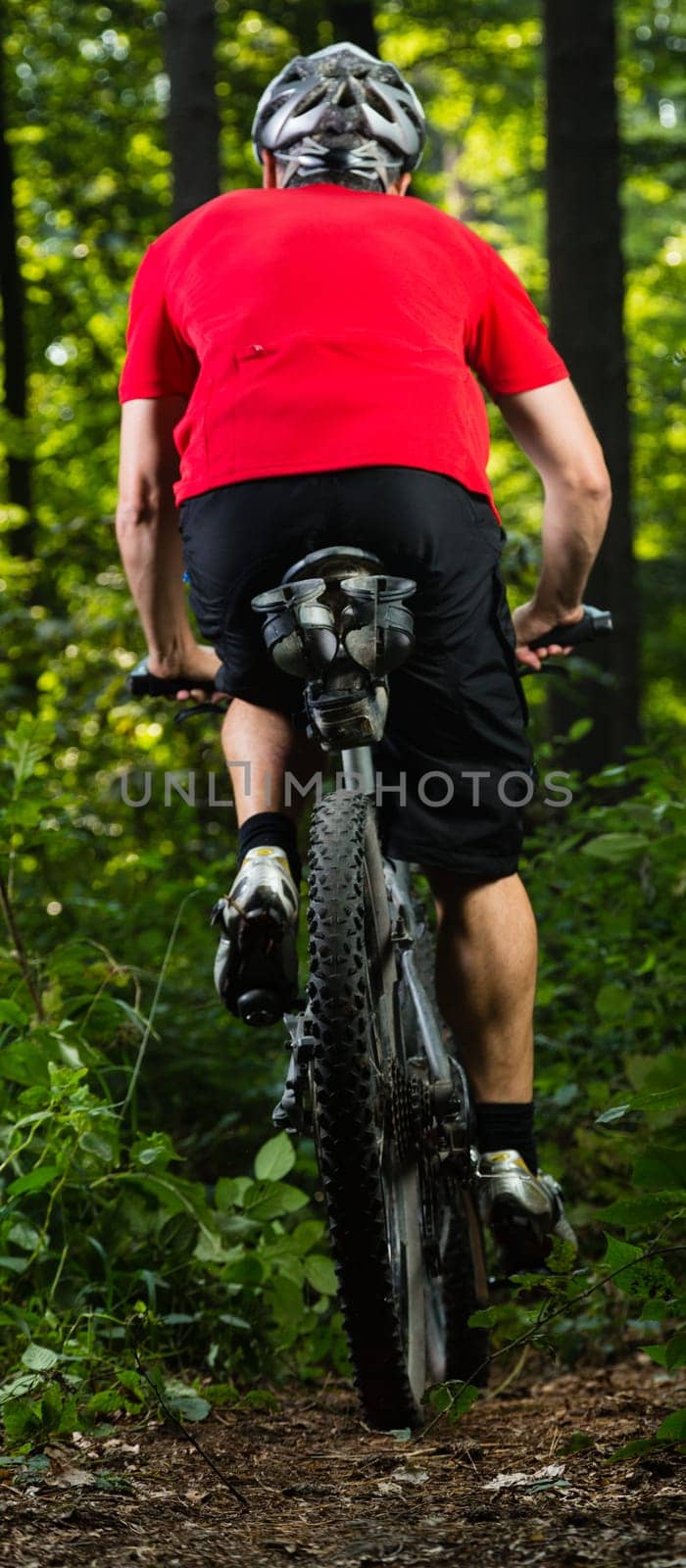 Mountain bikers