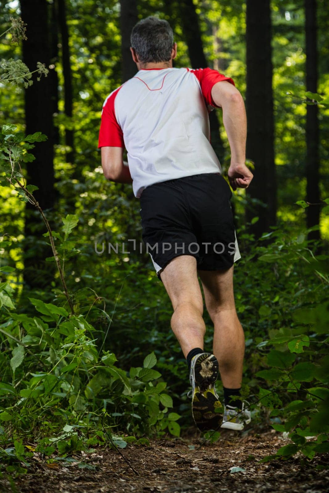 Trail running in the forest