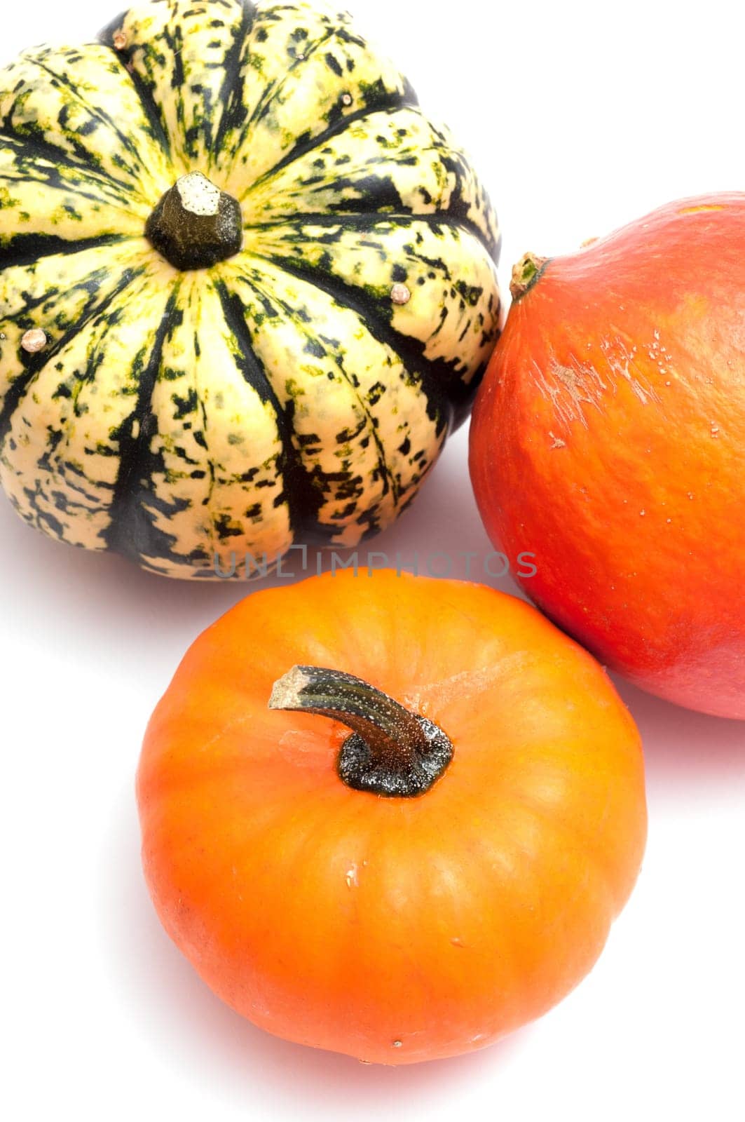 Three pumpkins in orange and green on white background