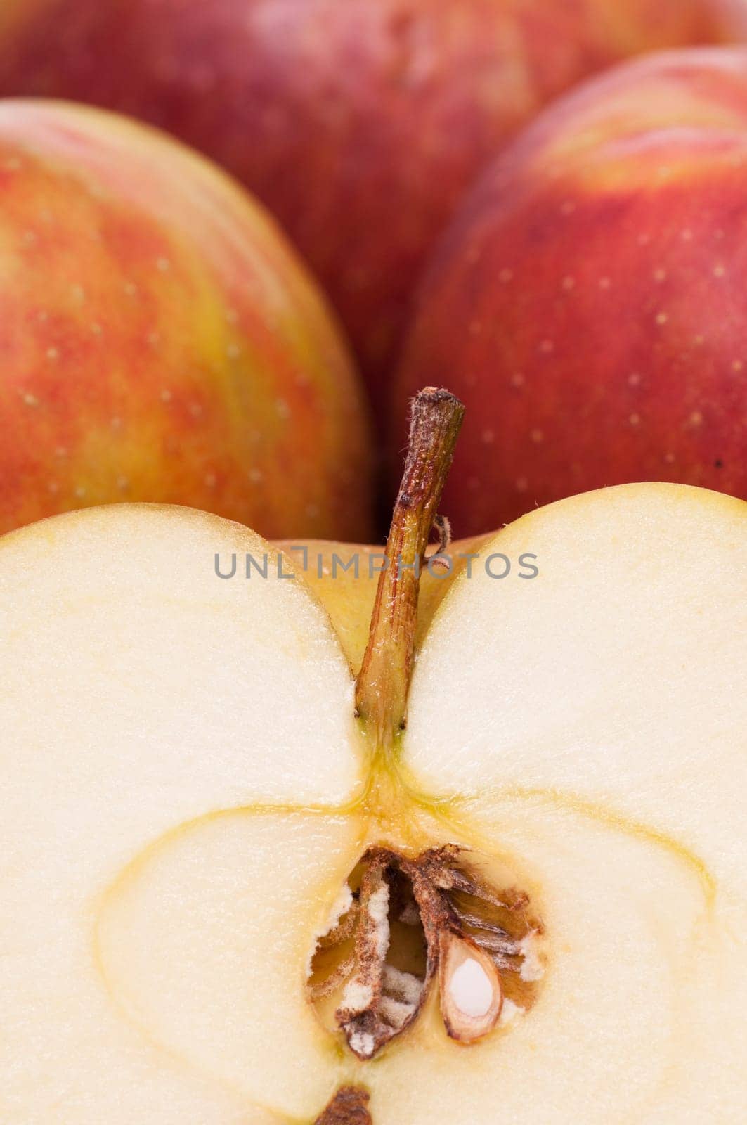 Cross-section of a sliced Boskop apple