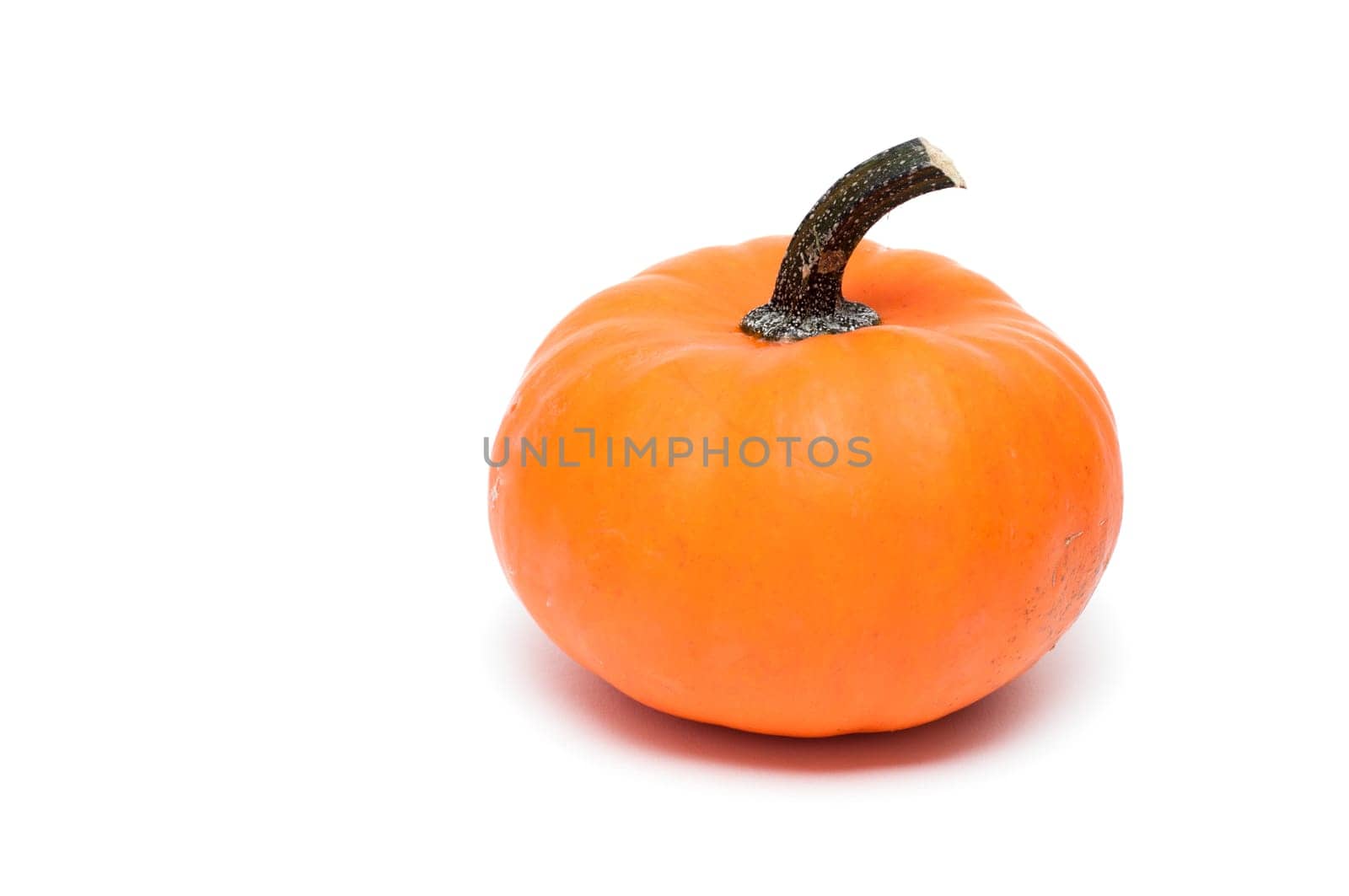 Ornamental pumpkin in orange on white background