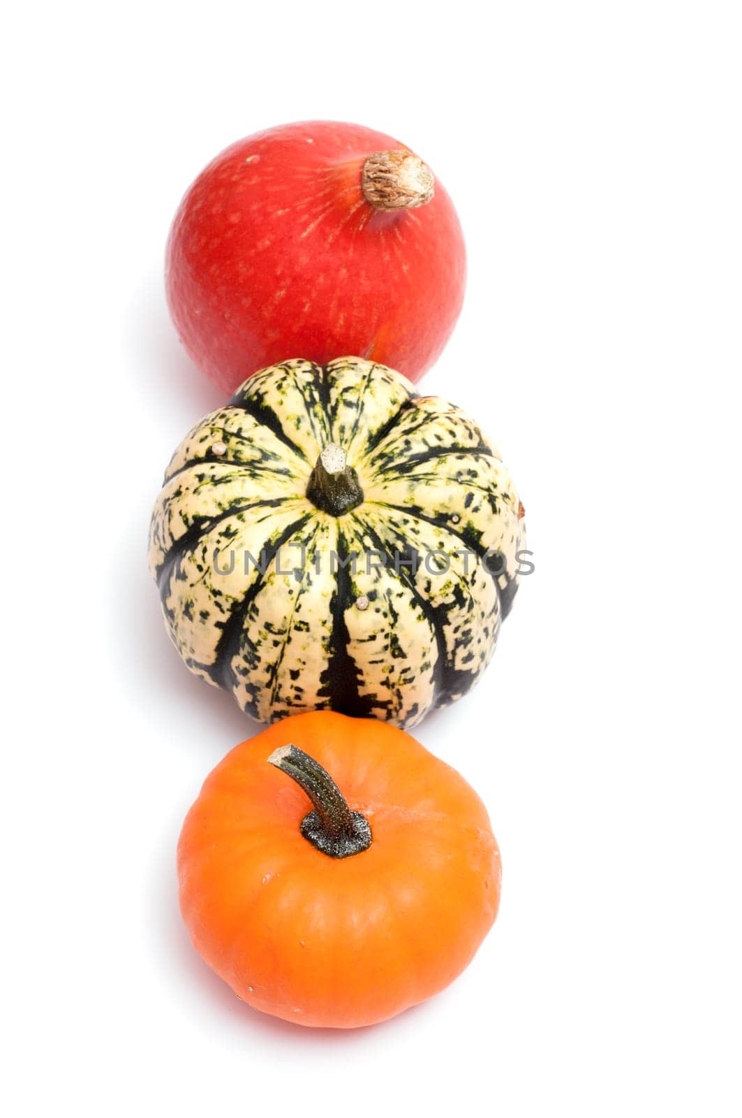 Three pumpkins from above on white background