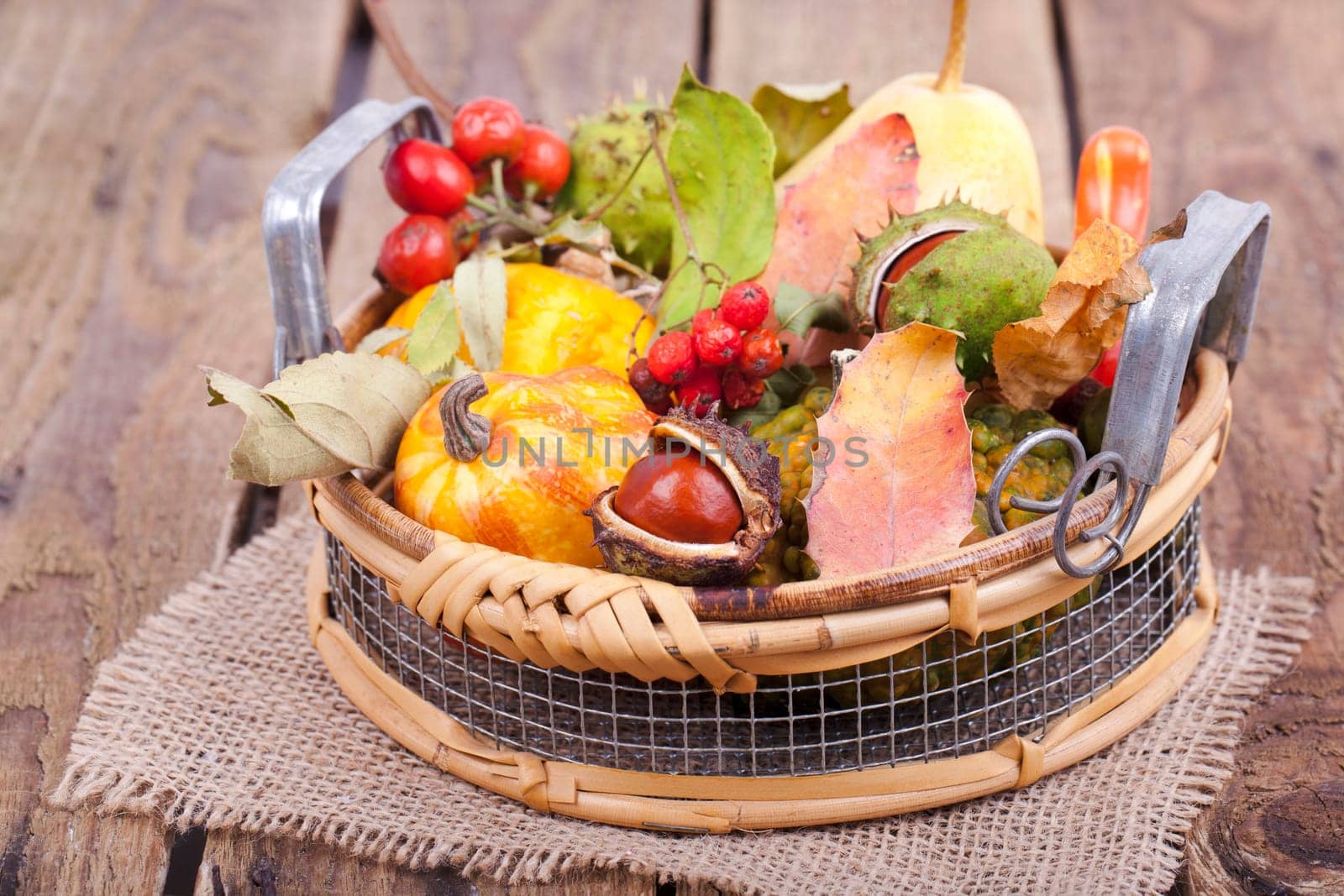 Colorful Autumn Basket