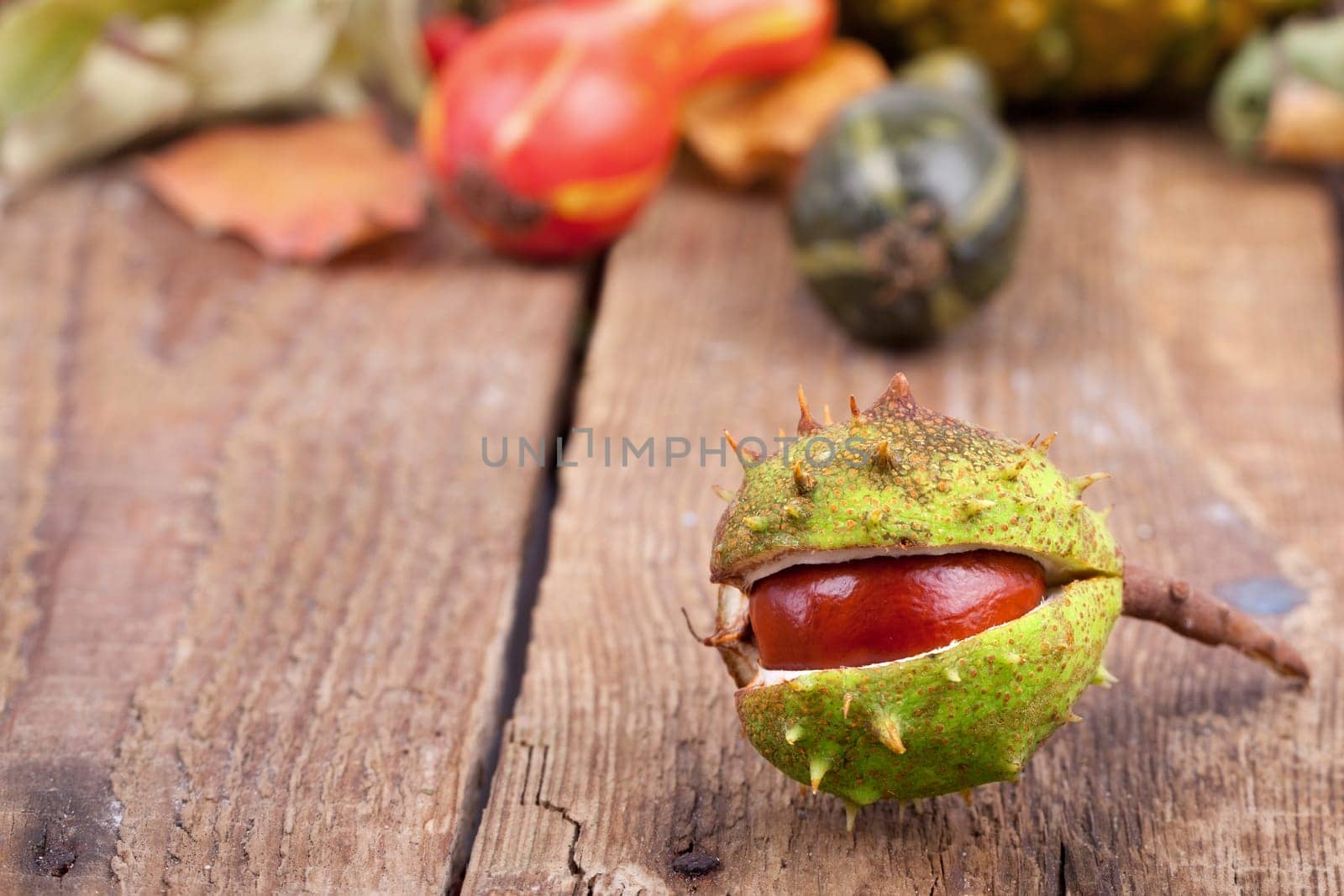 Chestnuts